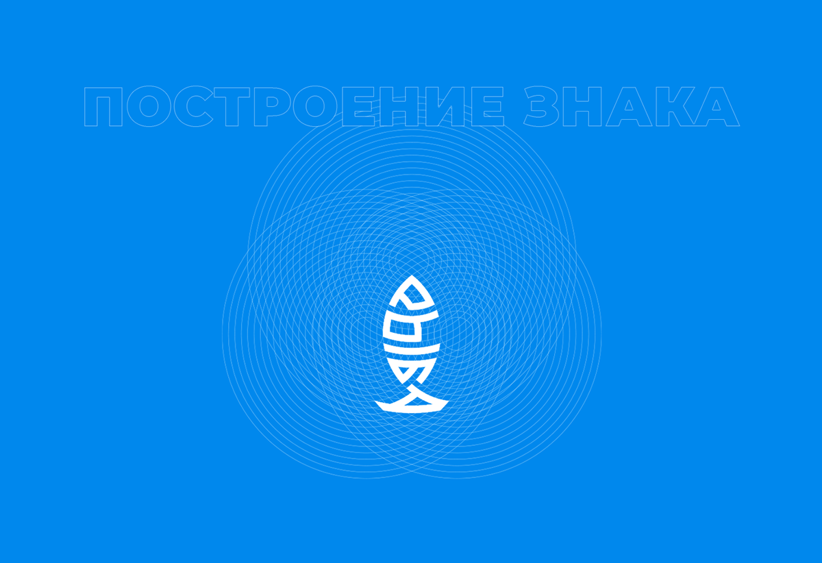 Большая РЫБА — Изображение №3 — Брендинг на Dprofile