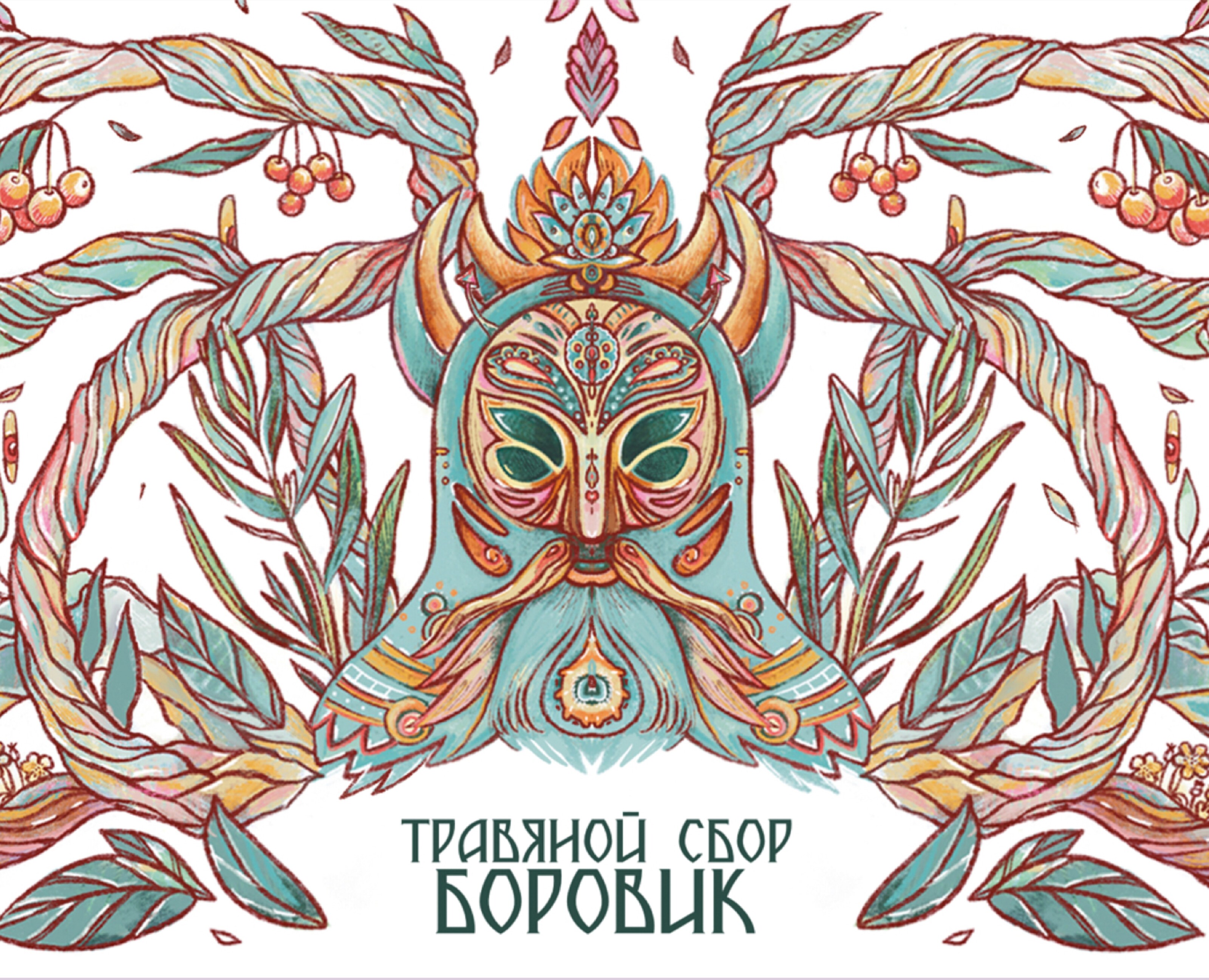 Упаковка для травяного сбора БОРОВИК — Брендинг, Иллюстрация на Dprofile