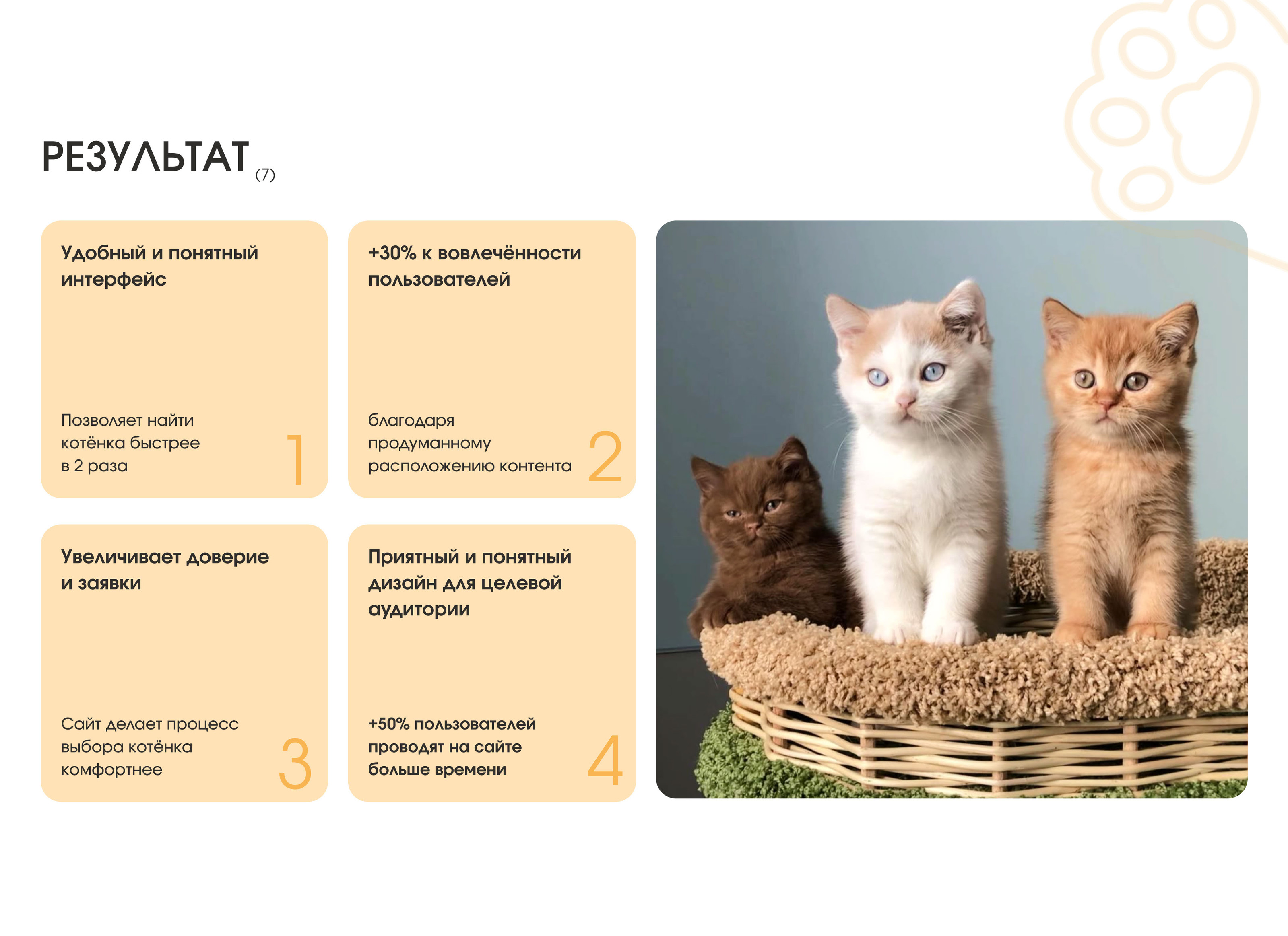Веб-дизайн для питомника кошек — Изображение №11 — Интерфейсы на Dprofile
