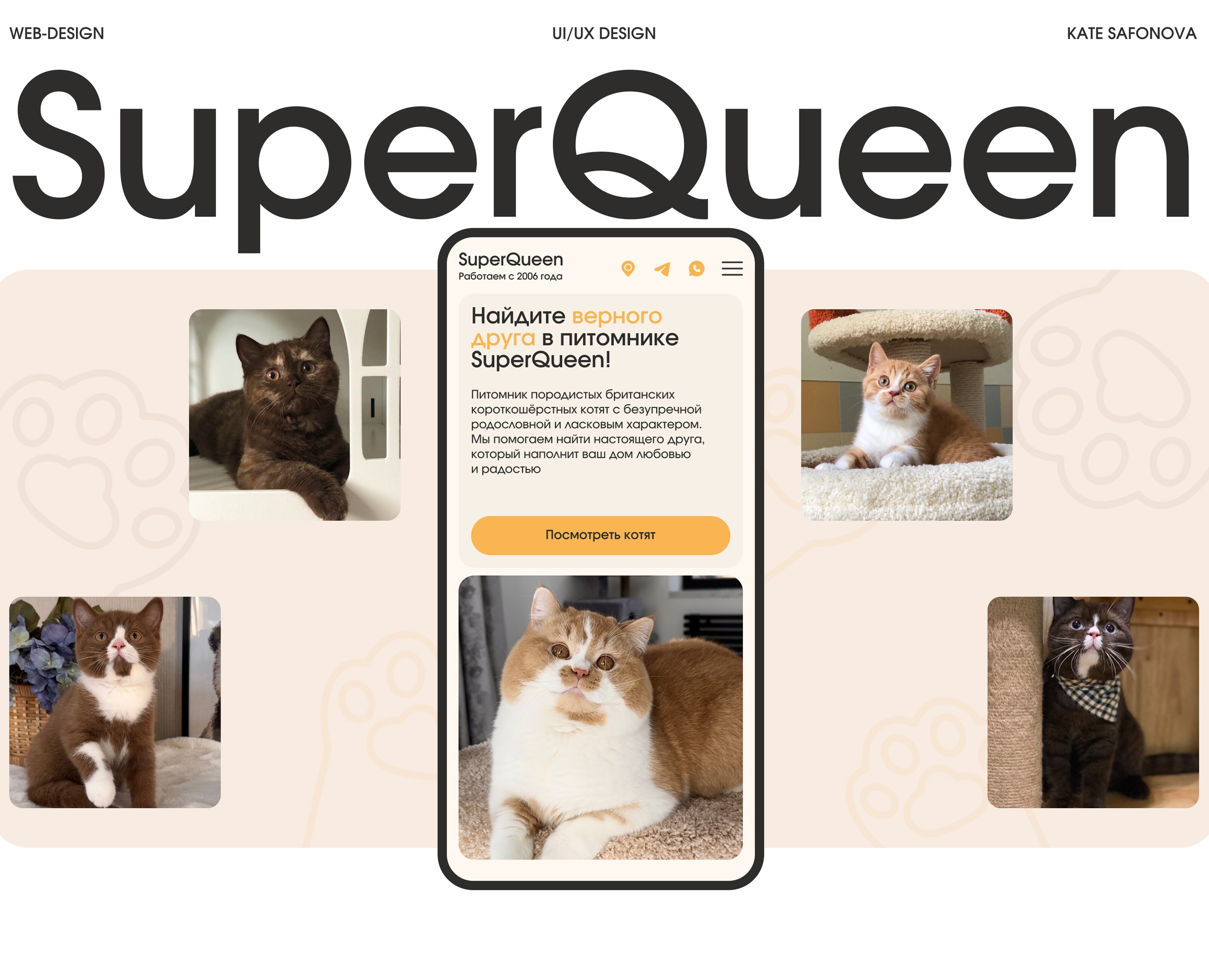 Веб-дизайн для питомника кошек — Интерфейсы на Dprofile