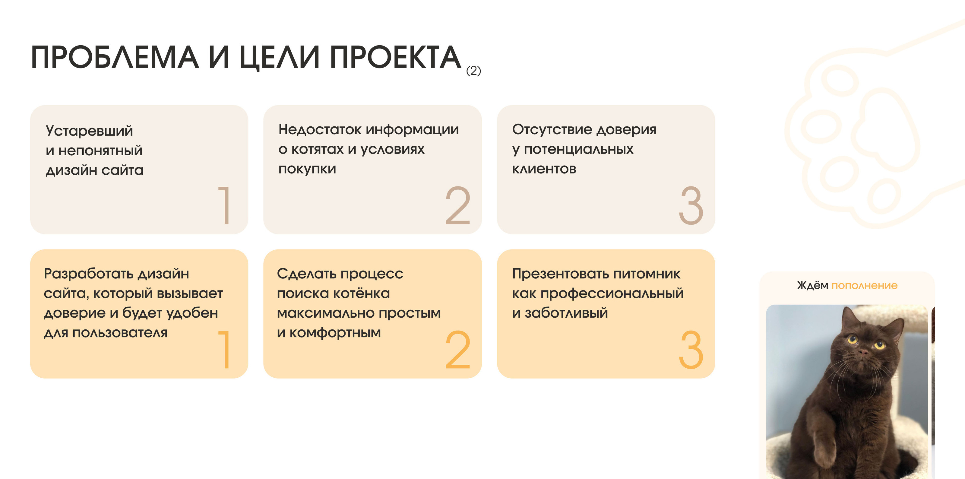 Веб-дизайн для питомника кошек — Изображение №4 — Интерфейсы на Dprofile