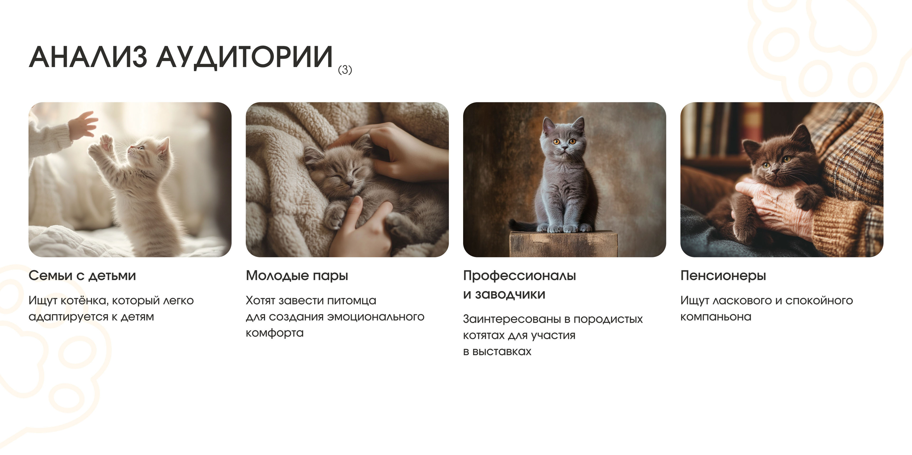Веб-дизайн для питомника кошек — Изображение №6 — Интерфейсы на Dprofile