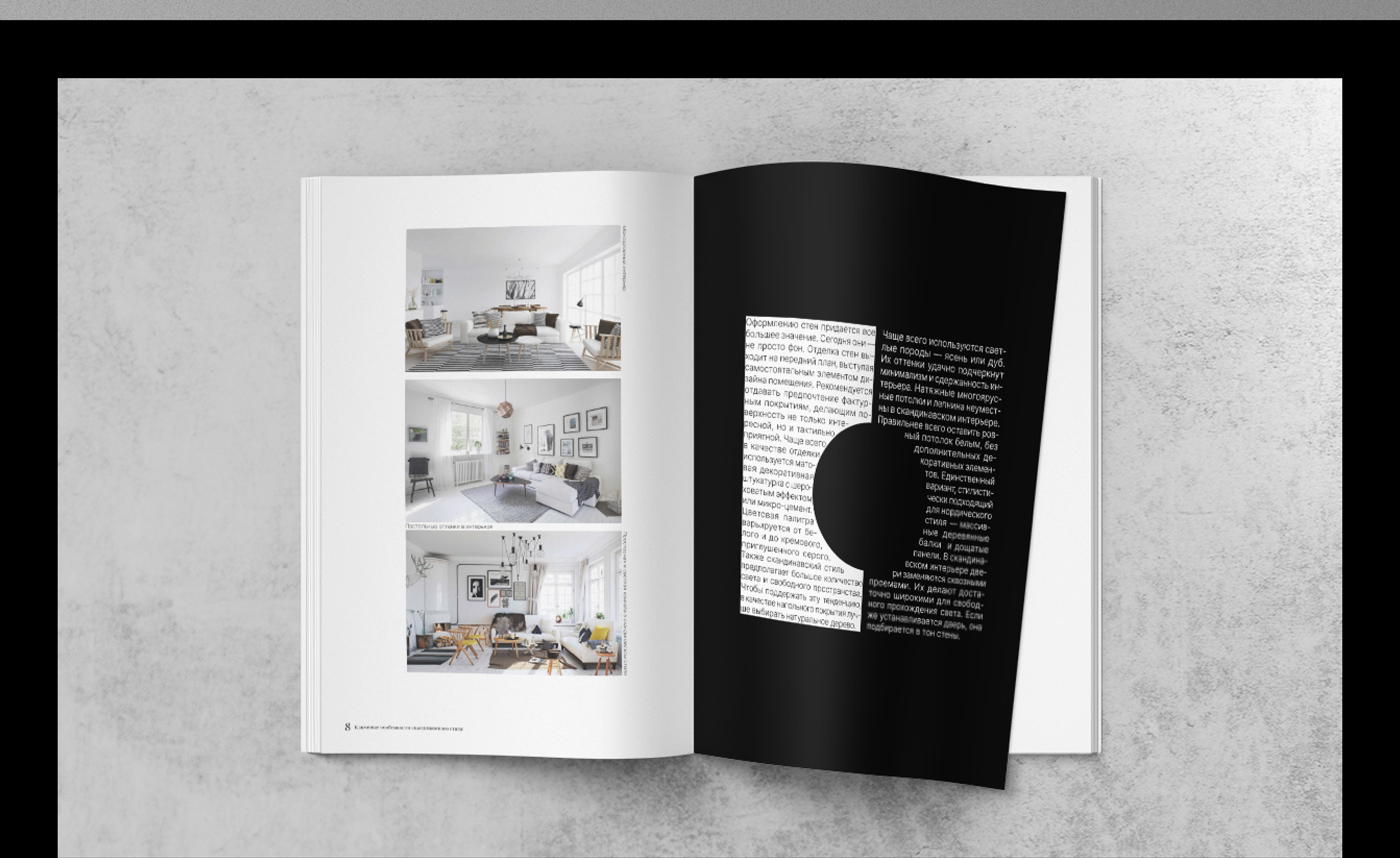 Interior Magazine "Scandinavian style" — Изображение №6 — Графика на Dprofile
