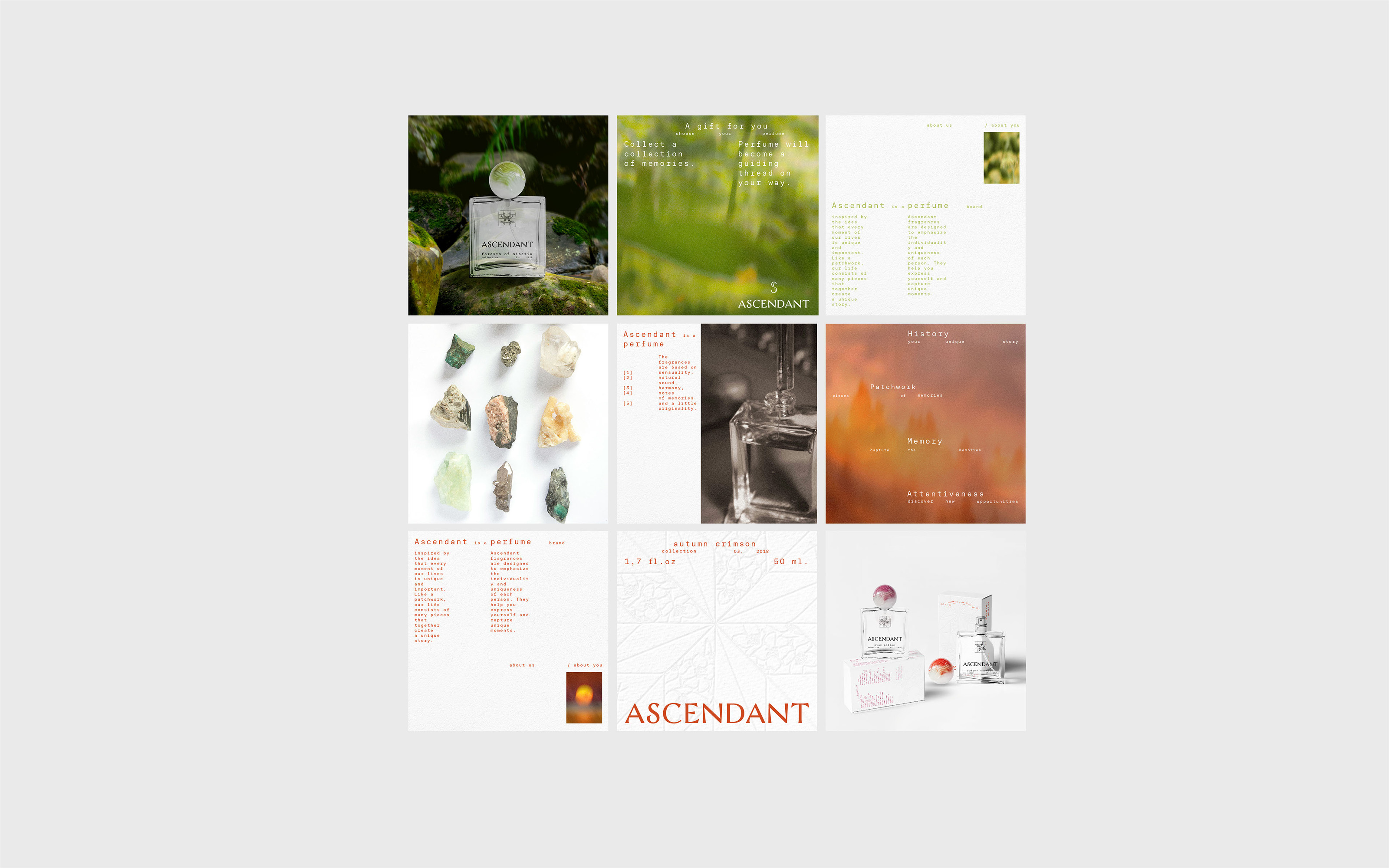 ASCENDANT / branding for perfume brand — Изображение №24 — Брендинг на Dprofile