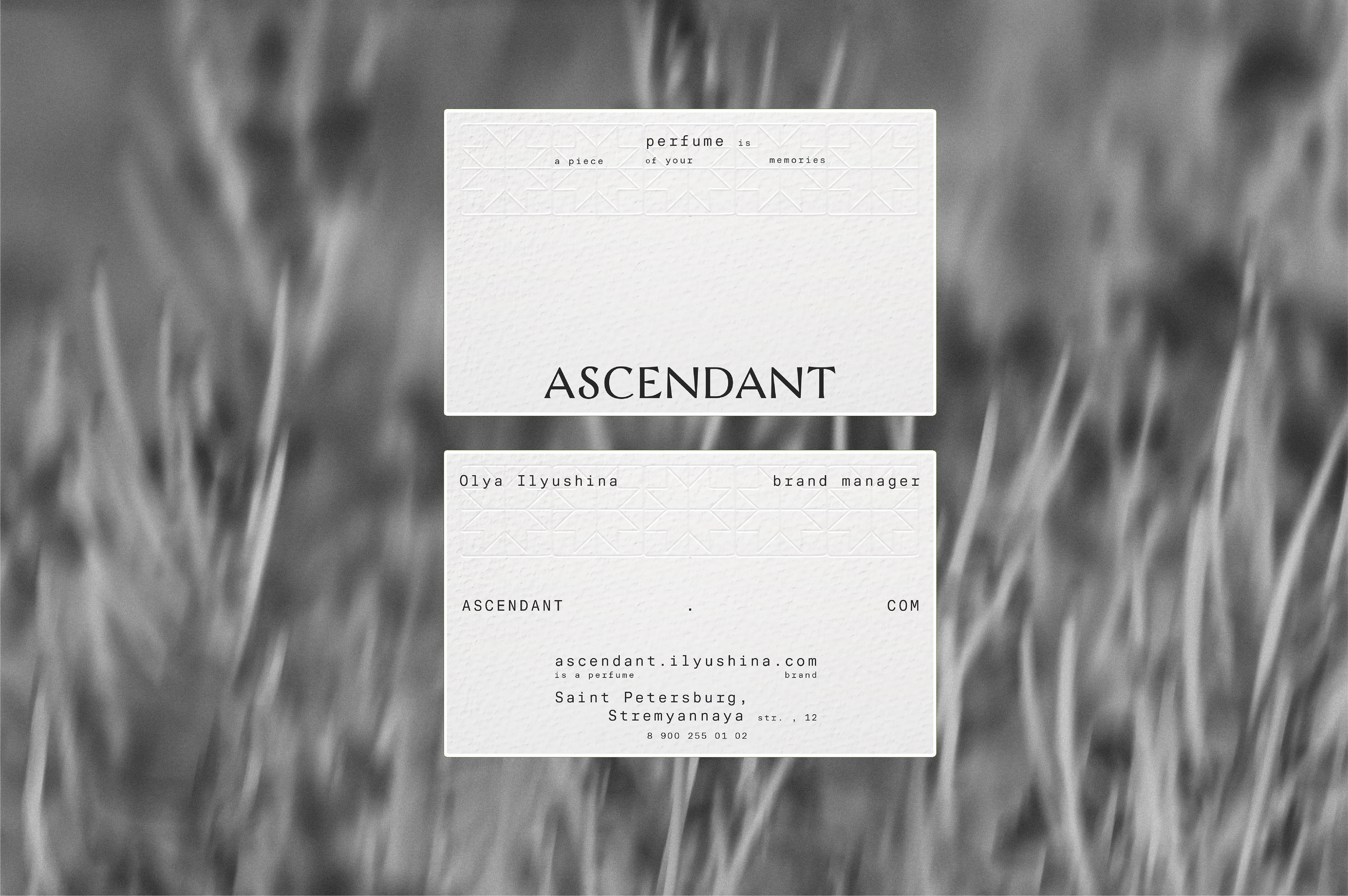ASCENDANT / branding for perfume brand — Изображение №19 — Брендинг на Dprofile