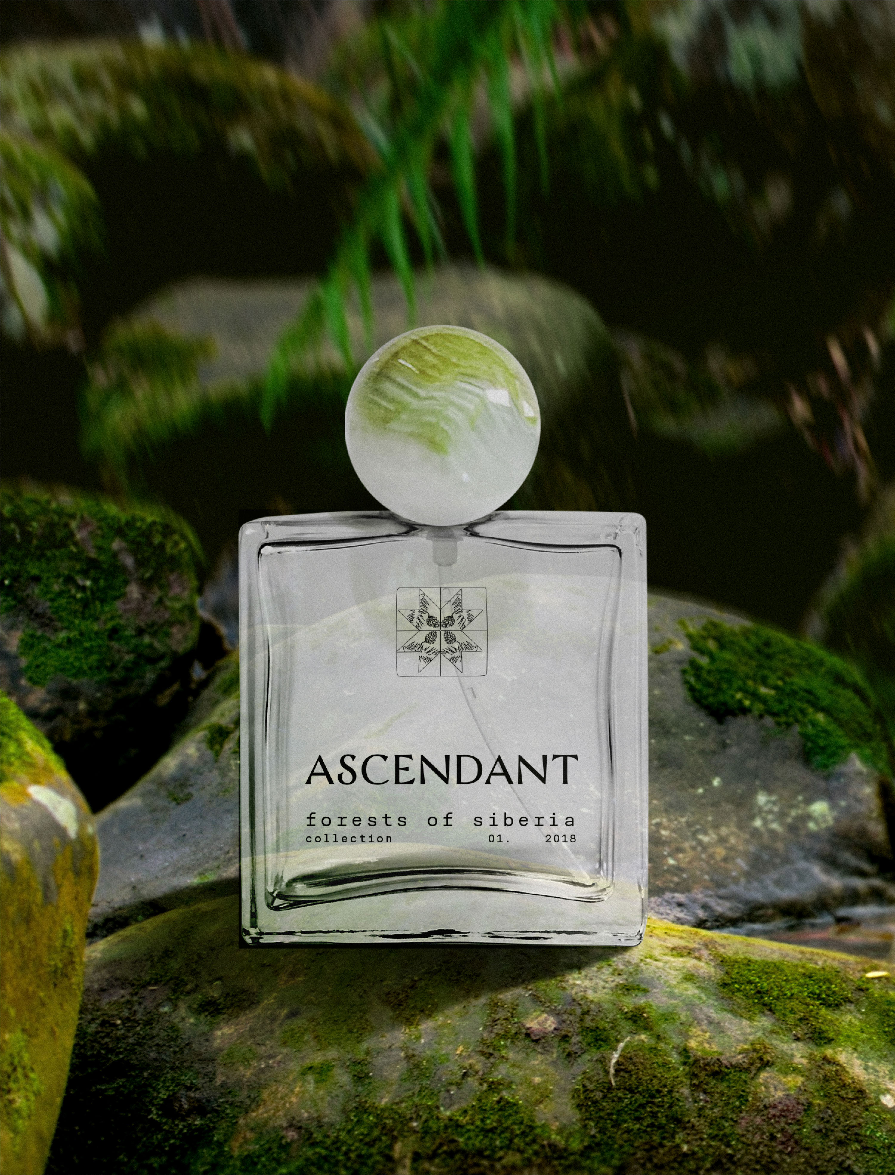 ASCENDANT / branding for perfume brand — Изображение №7 — Брендинг на Dprofile