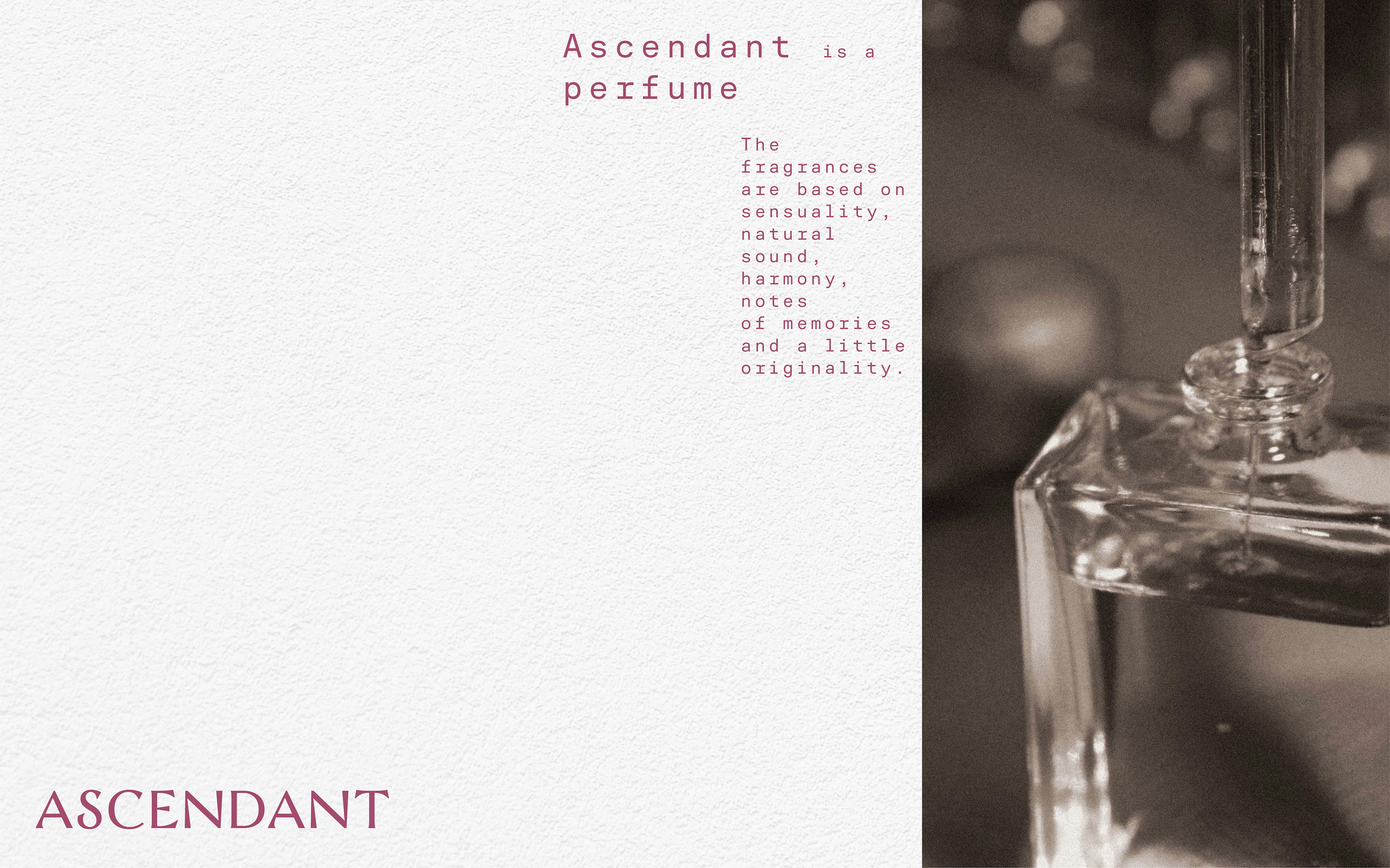 ASCENDANT / branding for perfume brand — Изображение №20 — Брендинг на Dprofile