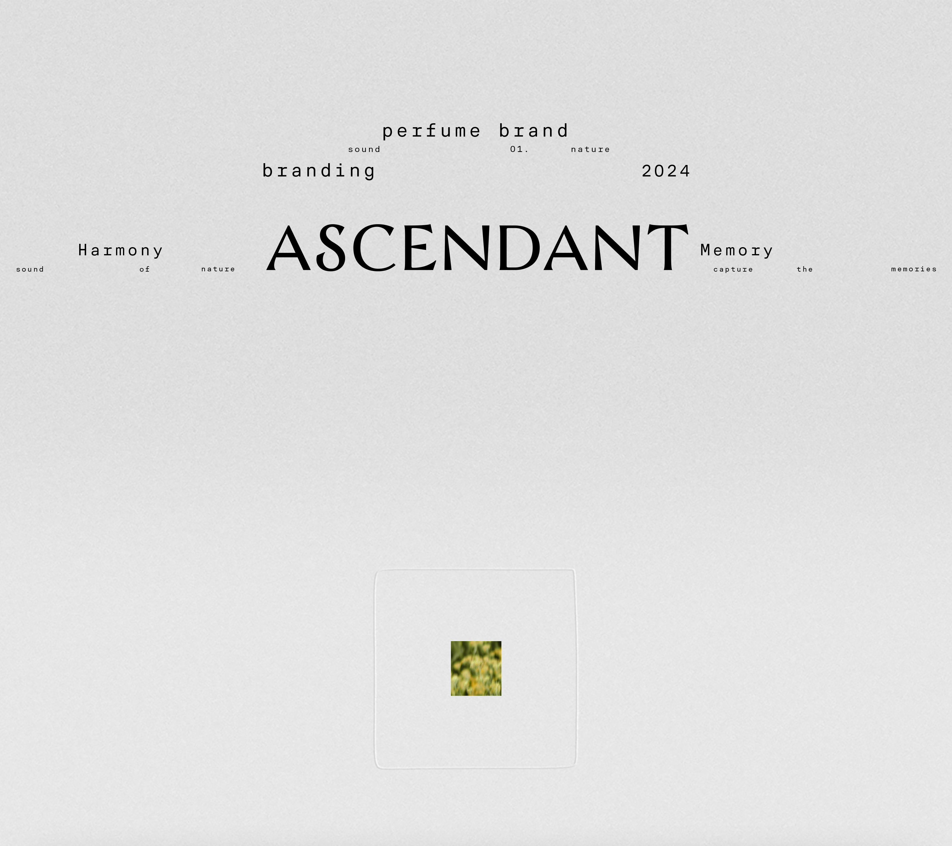 ASCENDANT / branding for perfume brand — Изображение №1 — Брендинг на Dprofile
