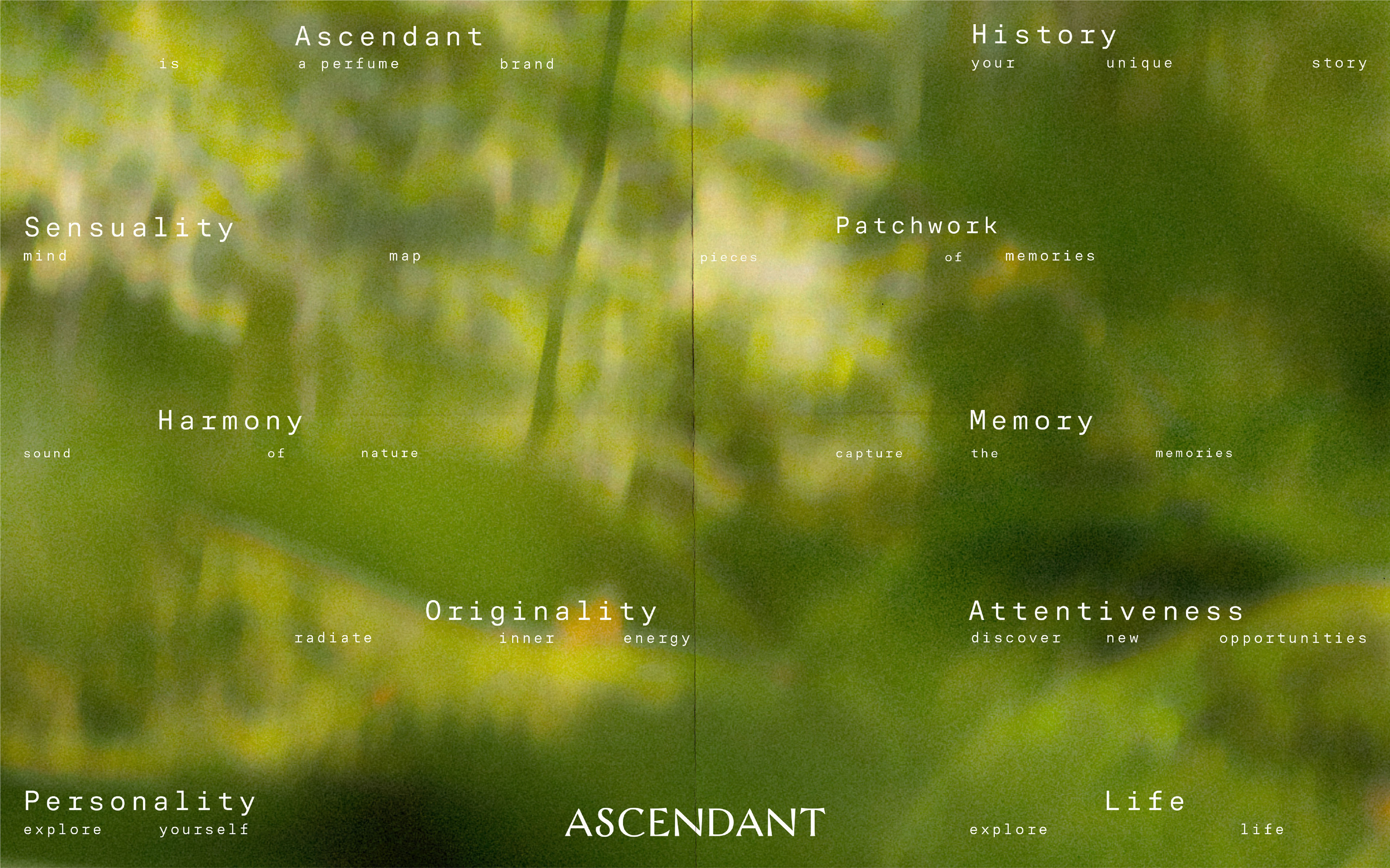ASCENDANT / branding for perfume brand — Изображение №5 — Брендинг на Dprofile