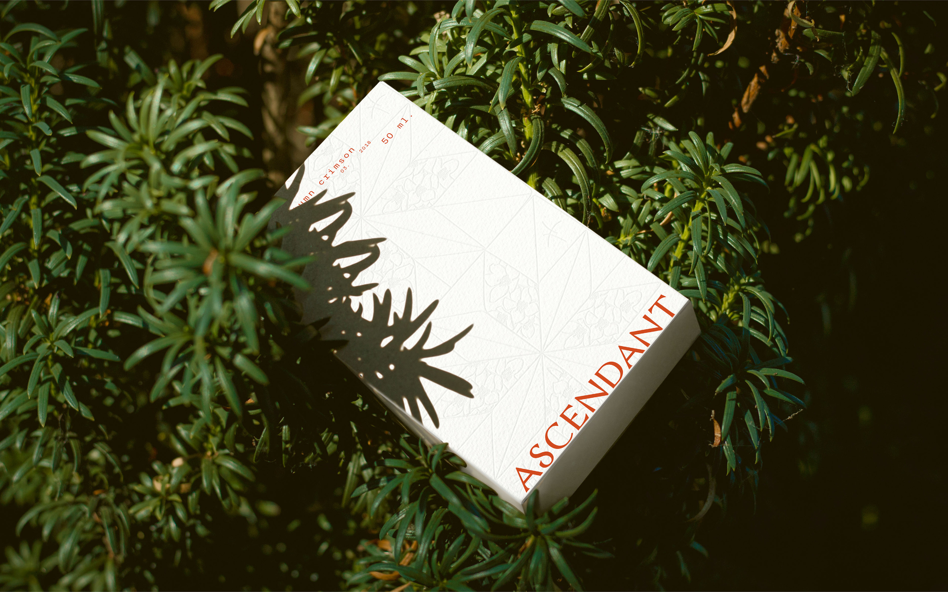 ASCENDANT / branding for perfume brand — Изображение №14 — Брендинг на Dprofile