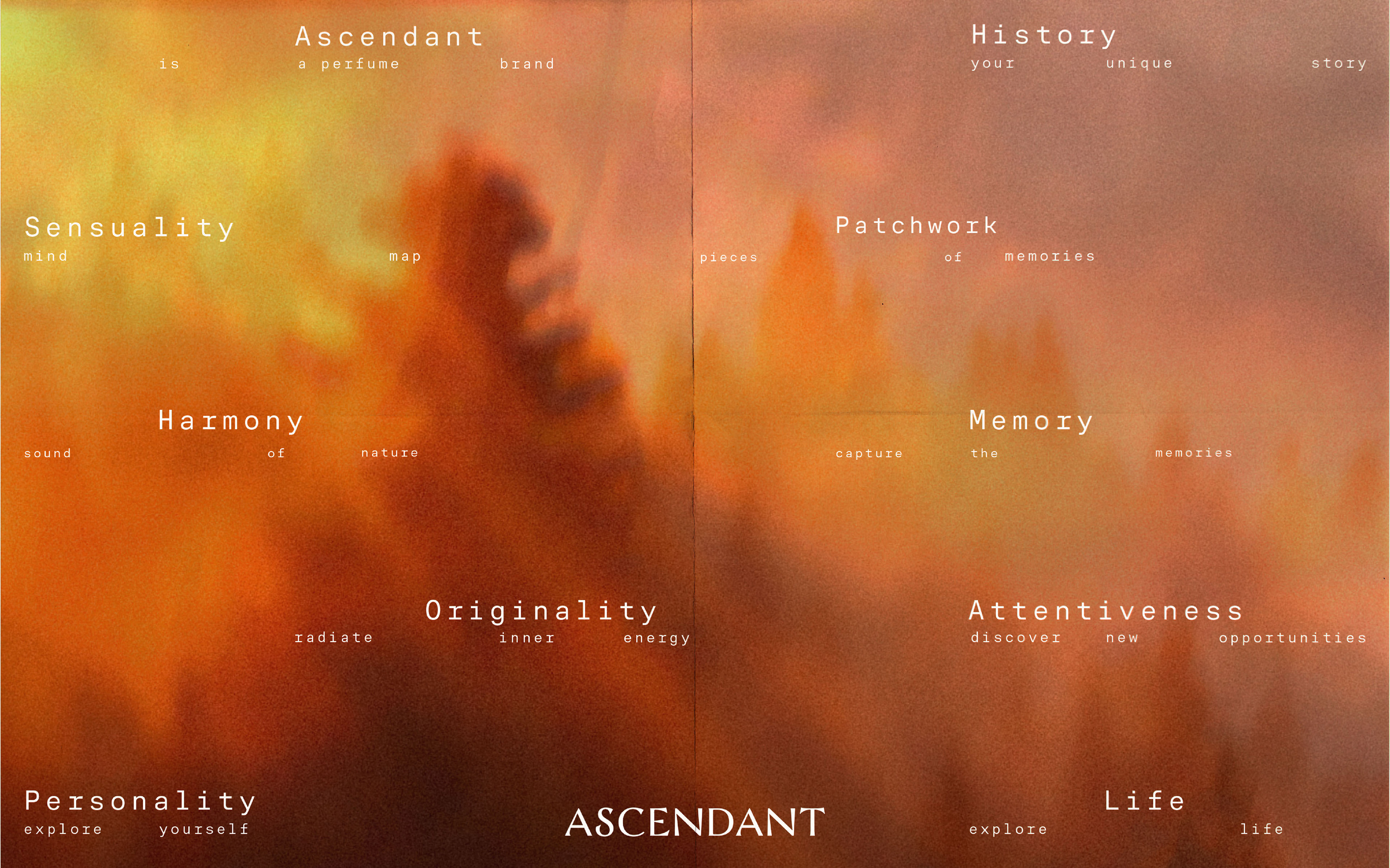 ASCENDANT / branding for perfume brand — Изображение №12 — Брендинг на Dprofile