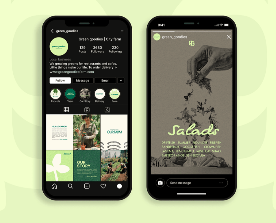 Green Goodies — Брендинг, Маркетинг на Dprofile