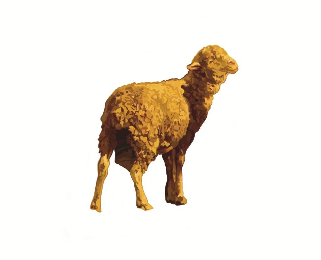 3-D  наклейки, марка — Брендинг, Иллюстрация на Dprofile