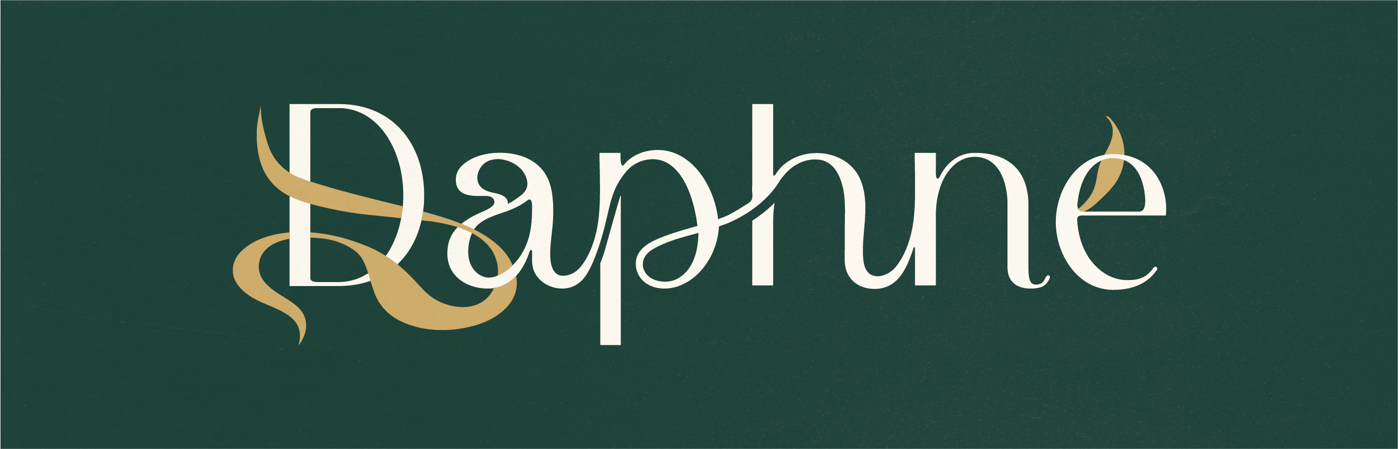 Логотип для цветочного бутика — Изображение №3 — Брендинг, Графика на Dprofile