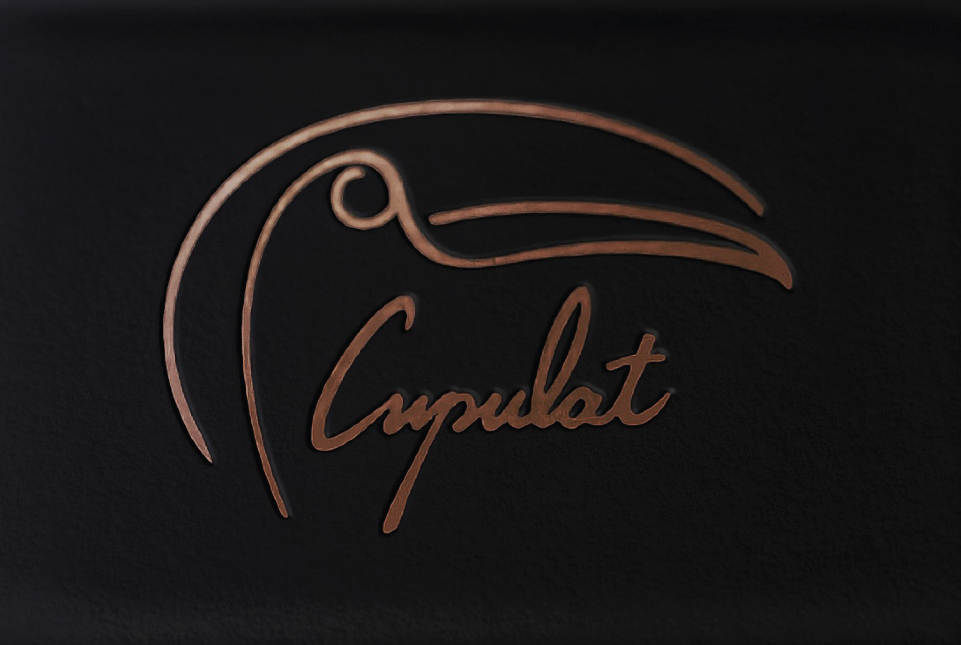 Cupulat — Изображение №1 — Брендинг, 3D на Dprofile