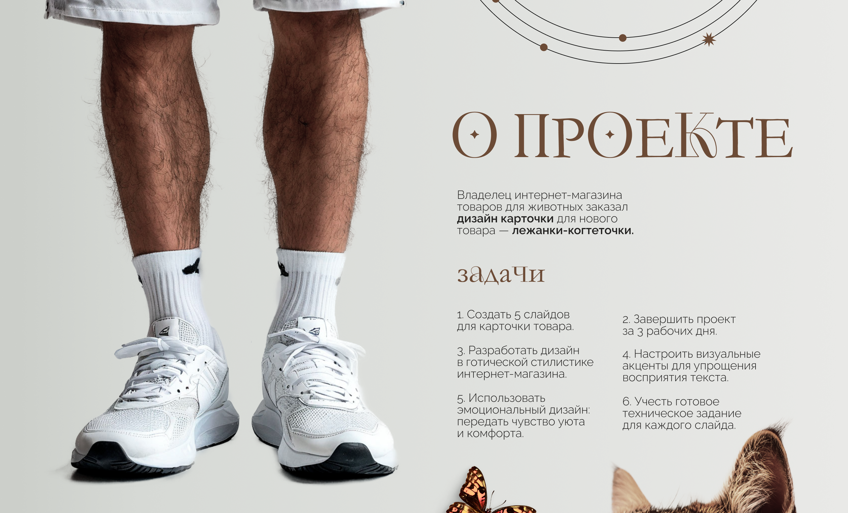 Инфографика для маркетплейсов #1 — Изображение №2 — Графика, Маркетинг на Dprofile