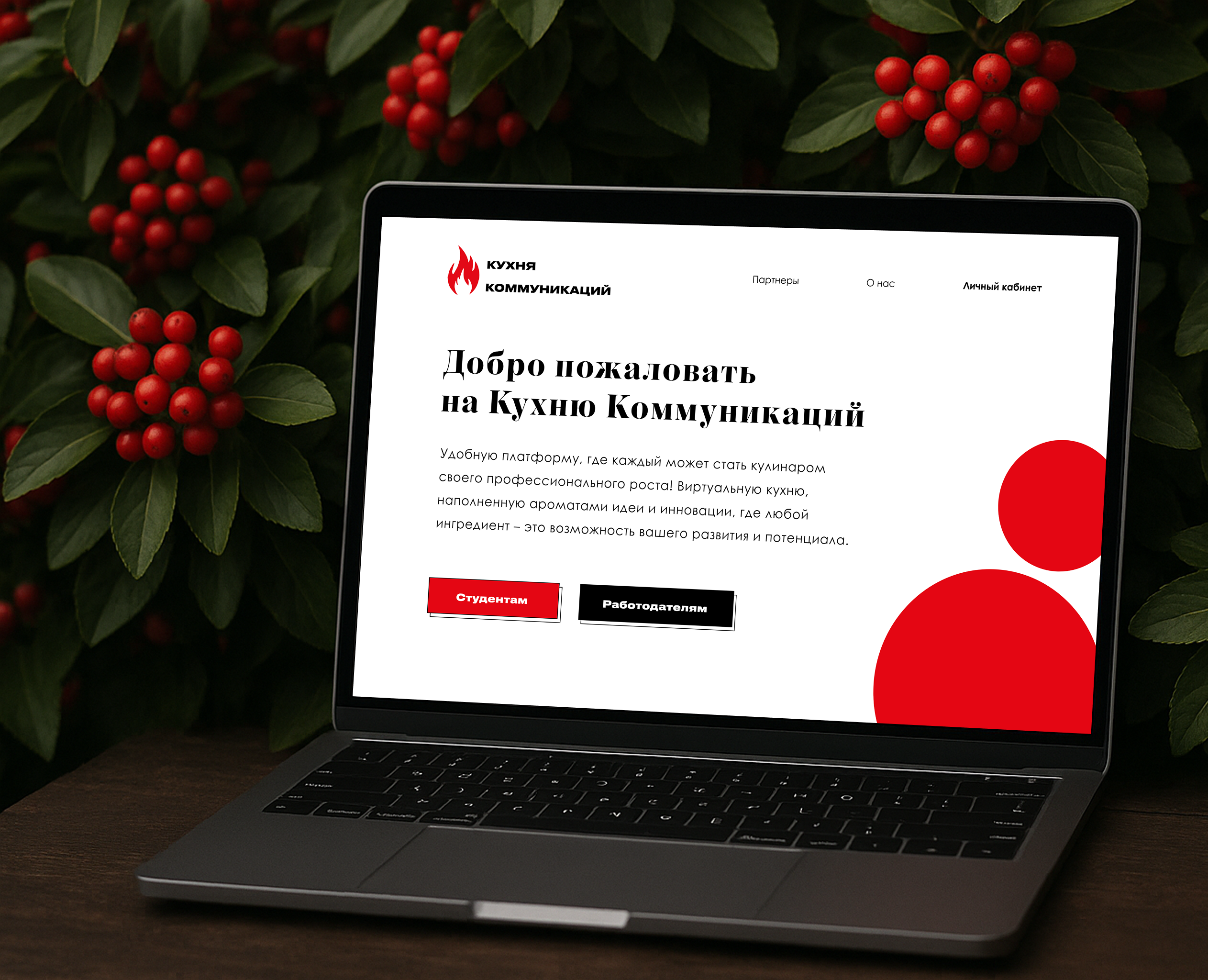 Многостраничный сайт для стартапа | Кухня Коммуникаций на Dprofile