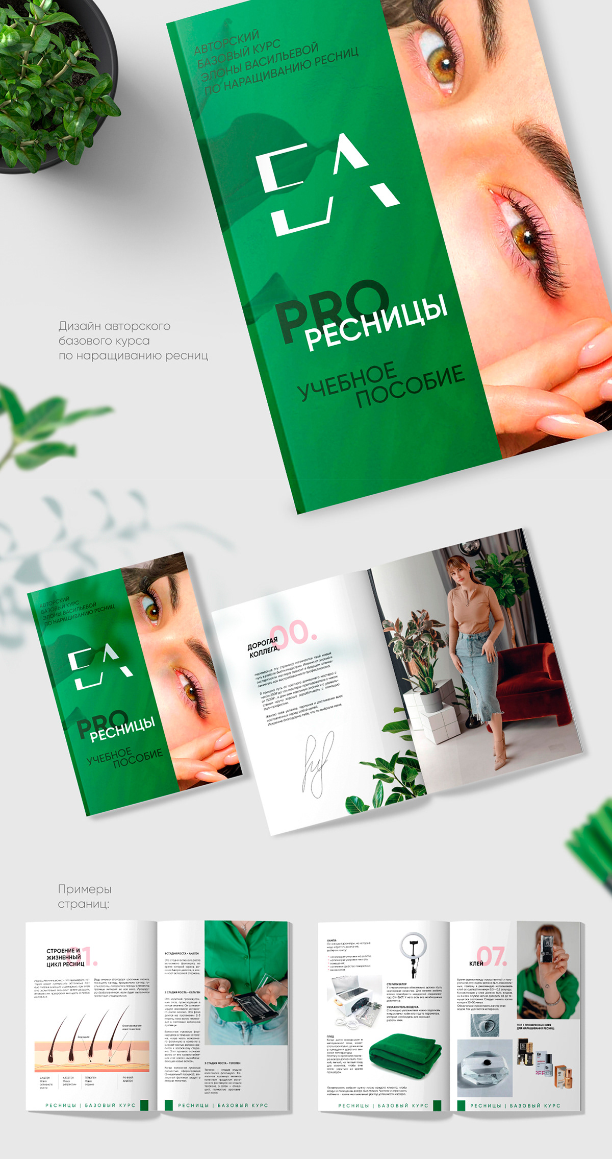 PRO ресницы. Дизайн учебного пособия — Изображение №1 — Графика на Dprofile