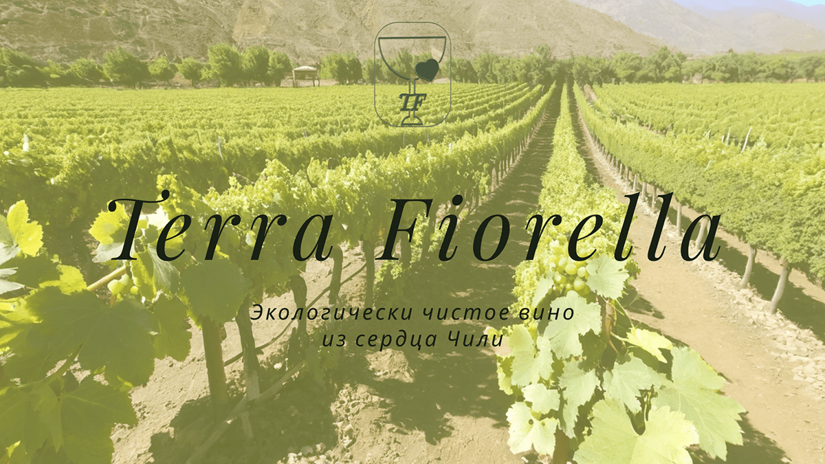 Terra Fiorella. — Изображение №1 — Брендинг, Графика на Dprofile