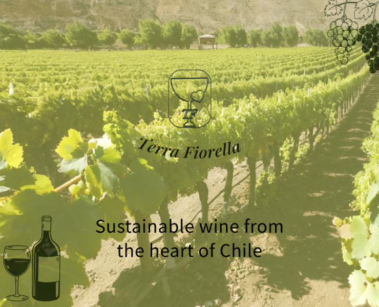 Terra Fiorella. — Брендинг, Графика на Dprofile