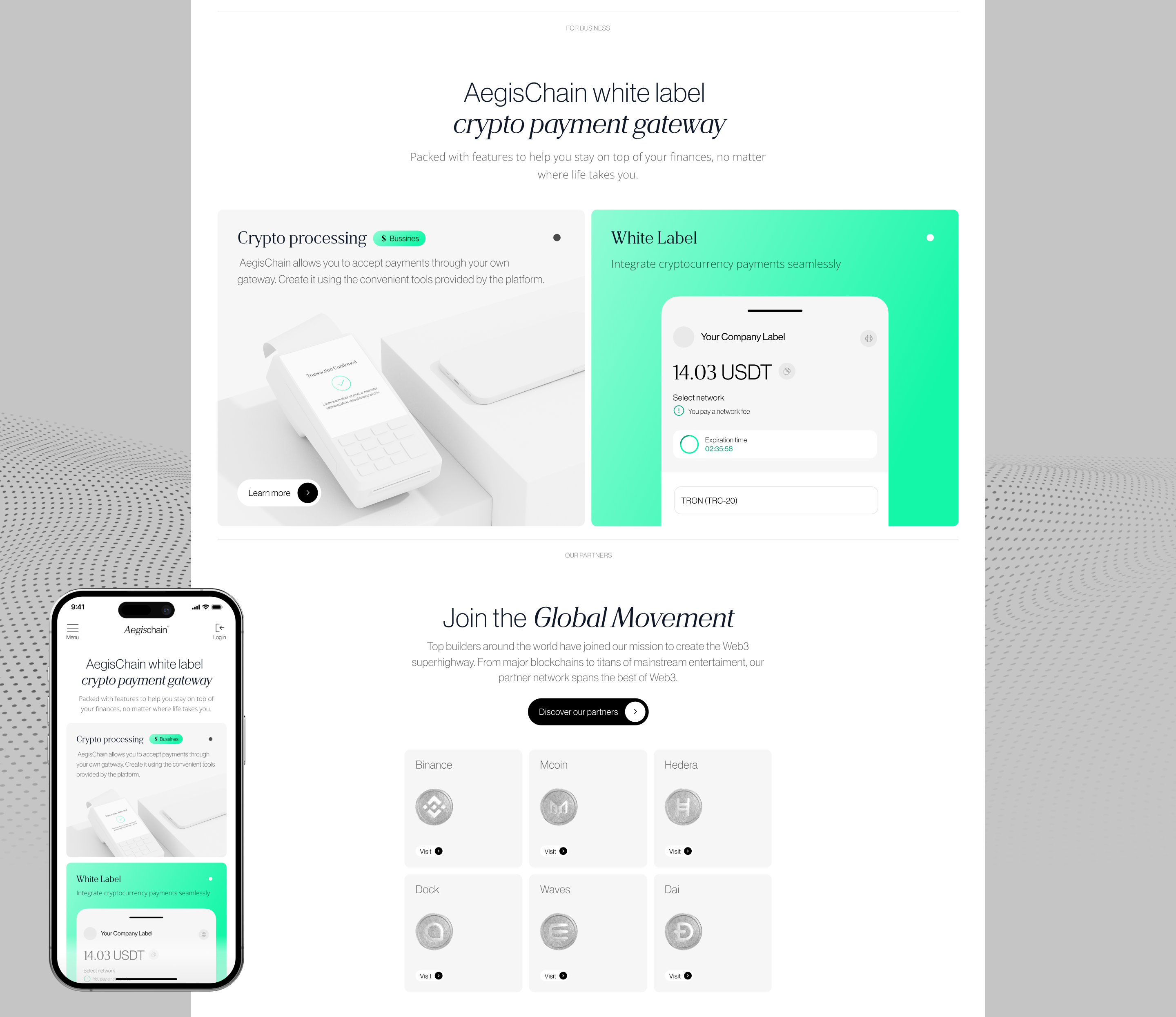 AegisChain | Branding — Изображение №15 — Интерфейсы, Брендинг на Dprofile