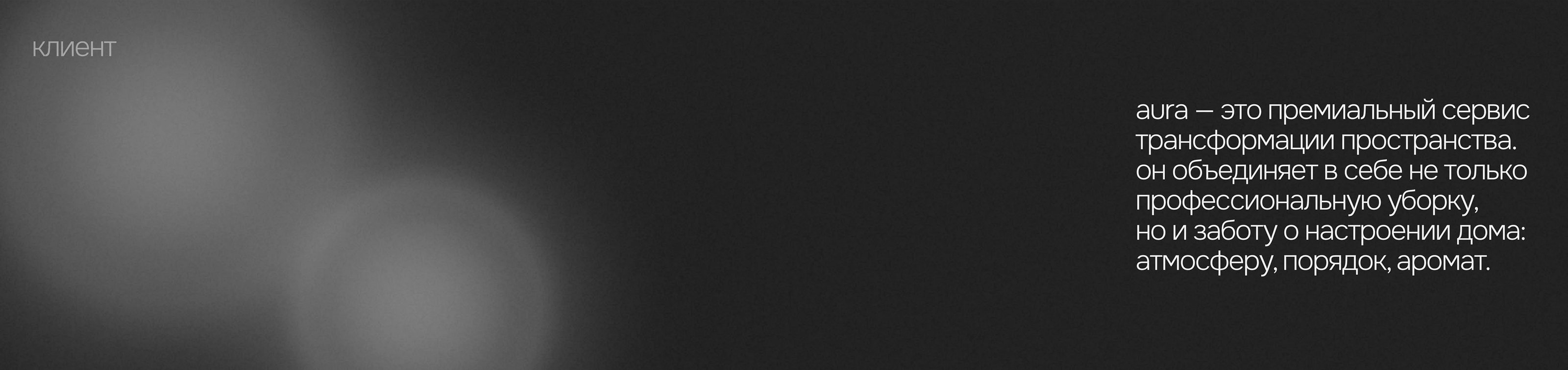 фирменный стиль для клининга — Изображение №2 — Брендинг на Dprofile