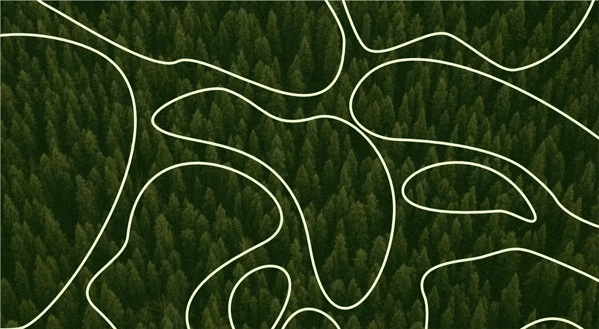 Логотип и айдентика GREEN TRAVEL — Изображение №3 — Брендинг на Dprofile