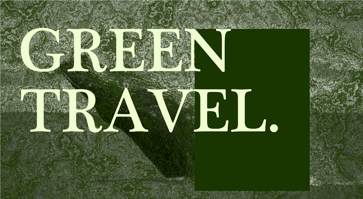 Логотип и айдентика GREEN TRAVEL — Изображение №1 — Брендинг на Dprofile