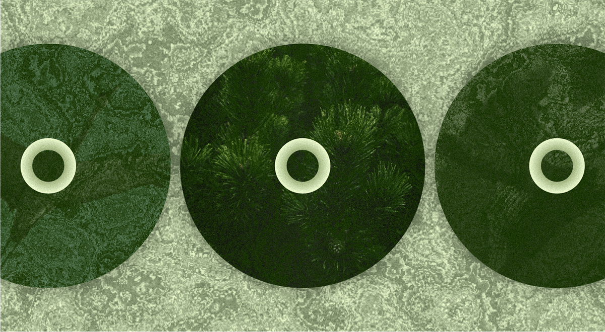 Логотип и айдентика GREEN TRAVEL — Изображение №12 — Брендинг на Dprofile