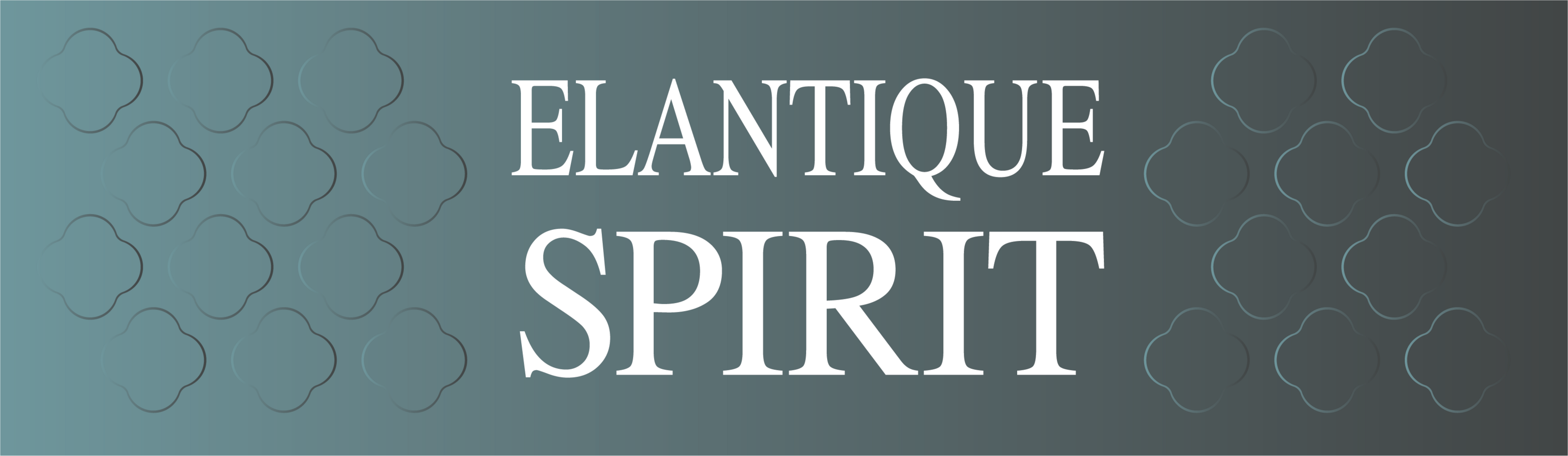 ELANTIQUE SPIRIT — Изображение №1 — Брендинг на Dprofile