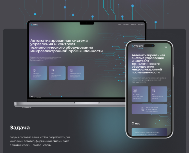 Эстика — Интерфейсы, Брендинг на Dprofile
