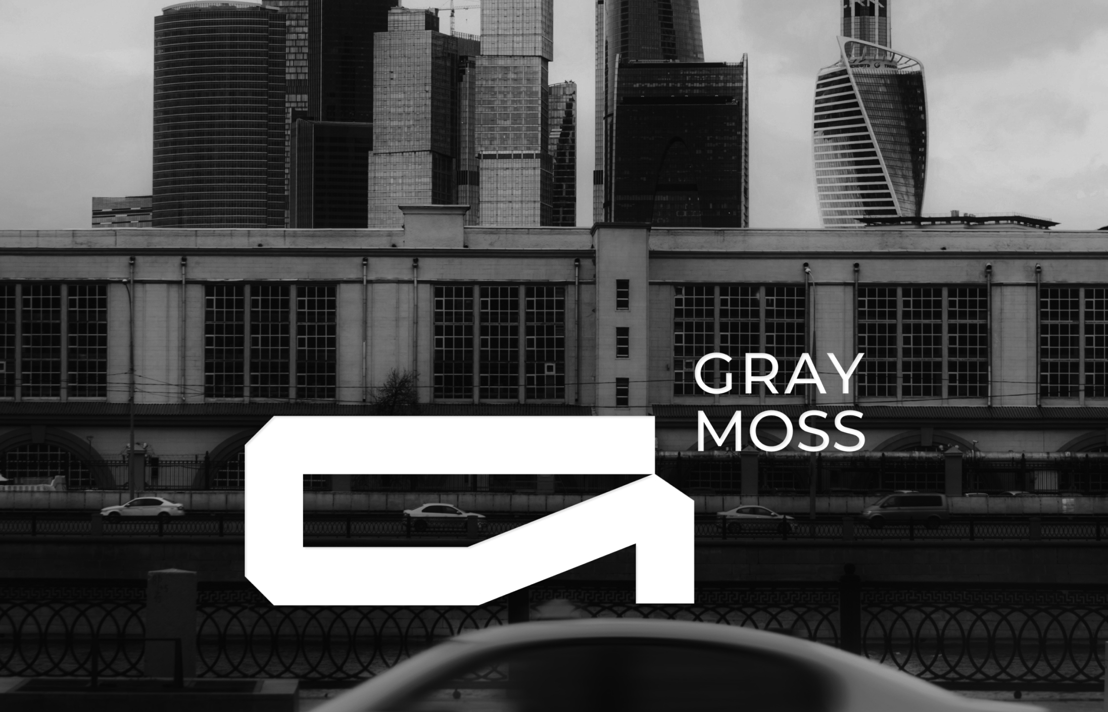 Логотип для бренда одежды GRAY MOSS — Изображение №4 — Брендинг на Dprofile