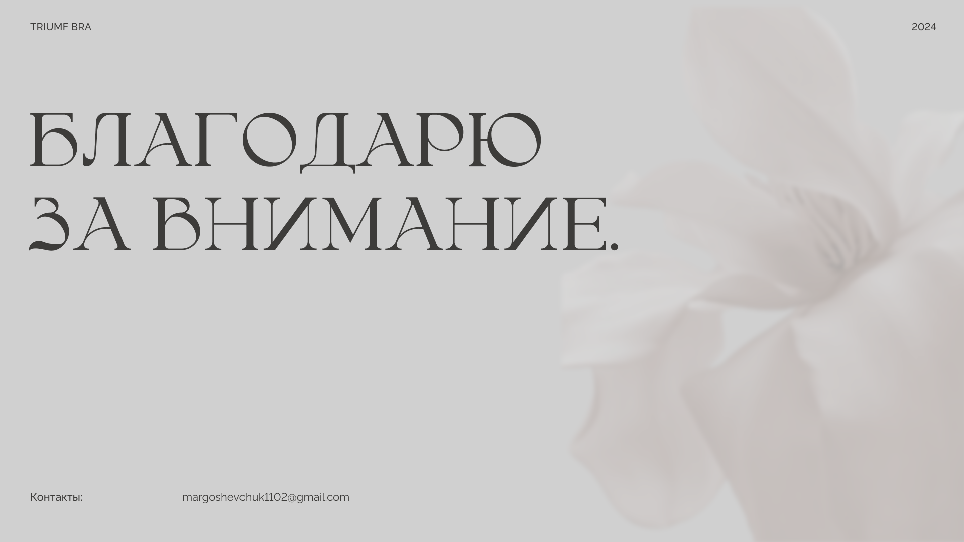 Фирменный стиль бренда Triumf Bra — Изображение №13 — Брендинг на Dprofile