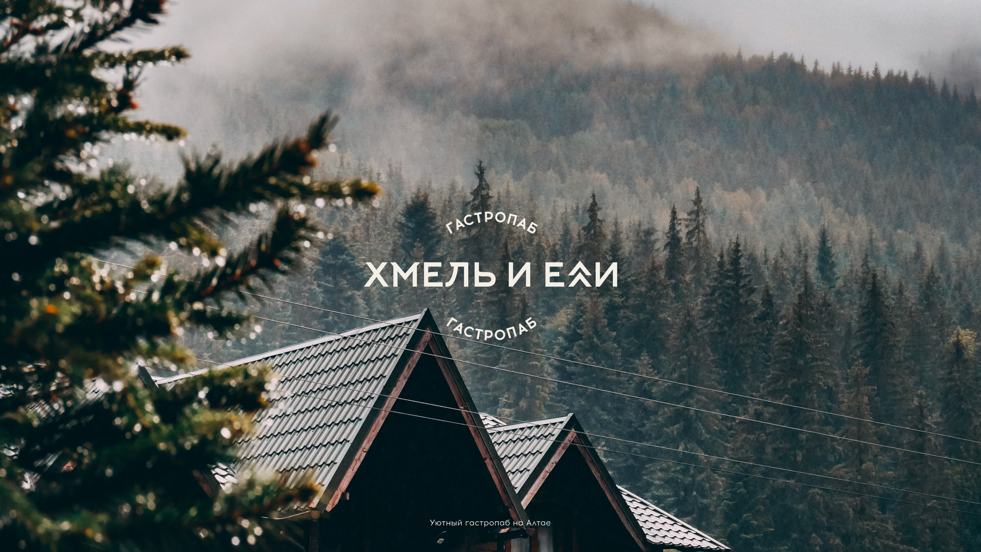 Брендинг гастропаба на Алтае — Изображение №1 — Брендинг на Dprofile