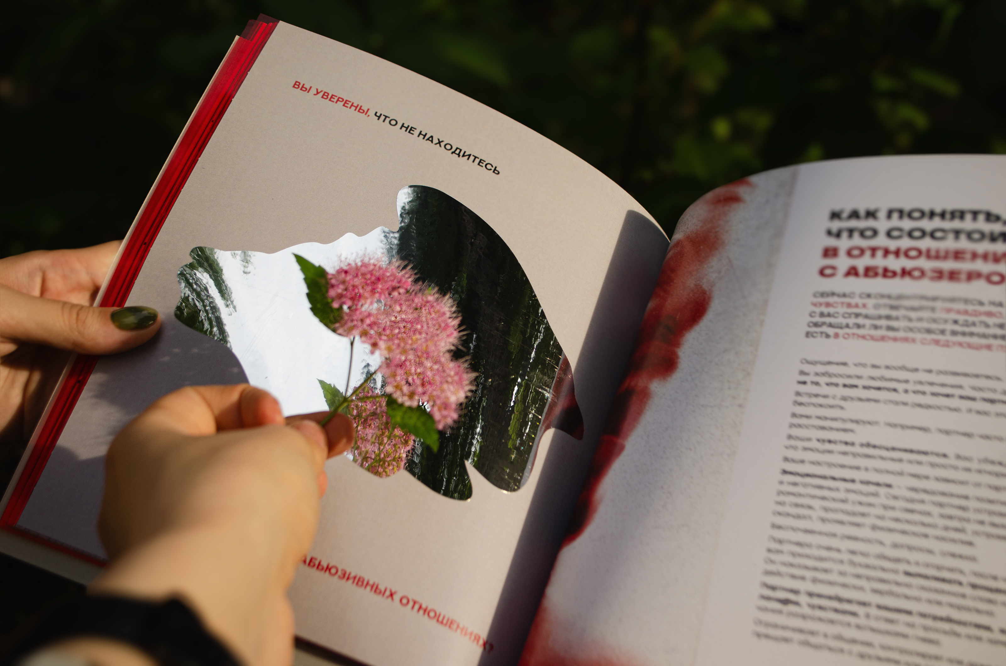 Брошюра "Бьет—значит любит" — Изображение №4 — Графика на Dprofile