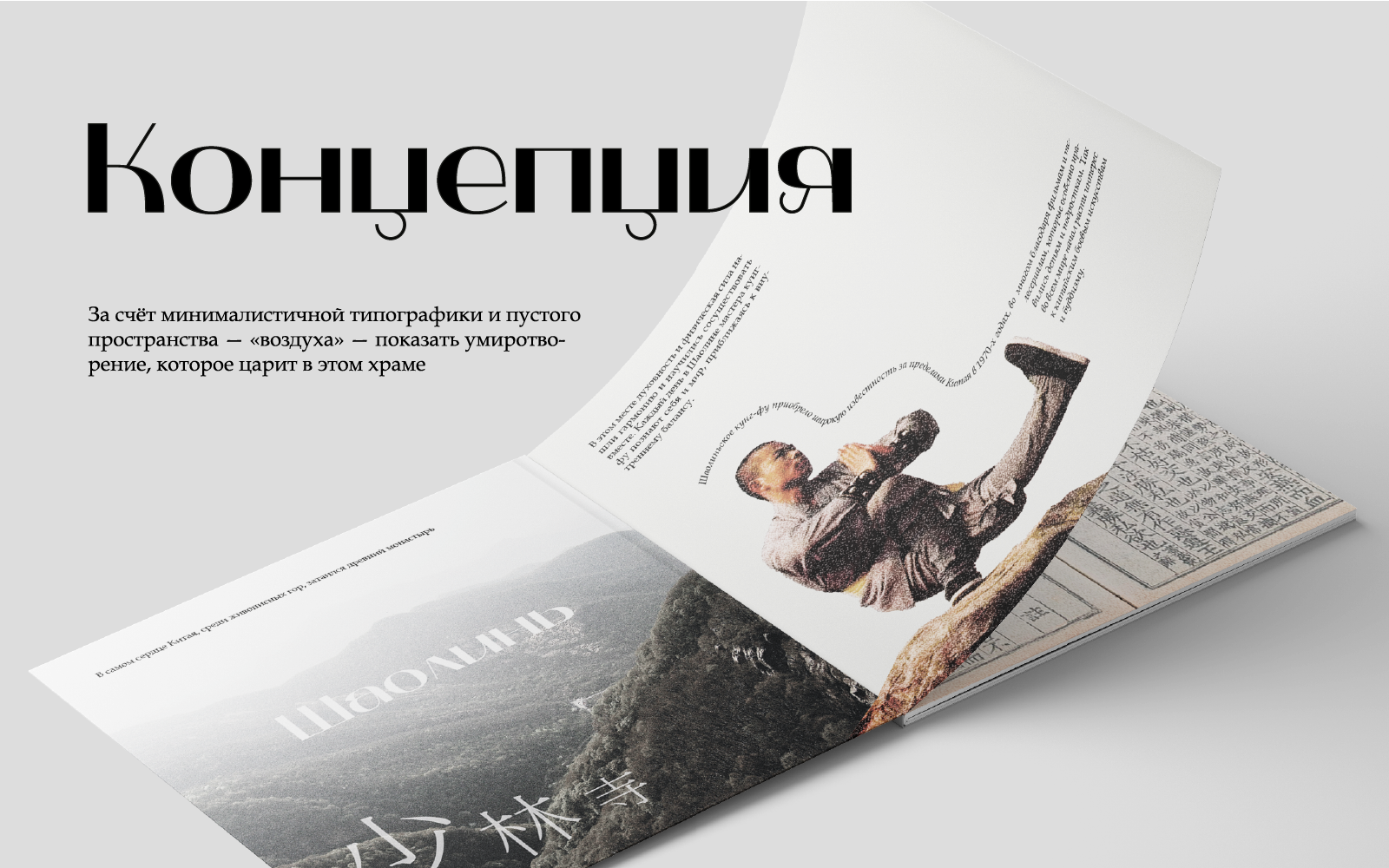 Брошюра «Храм Шаолинь» — Изображение №4 — Графика на Dprofile