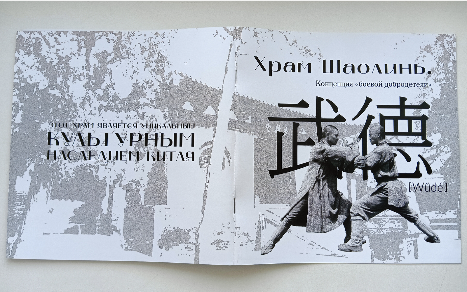 Брошюра «Храм Шаолинь» — Изображение №1 — Графика на Dprofile