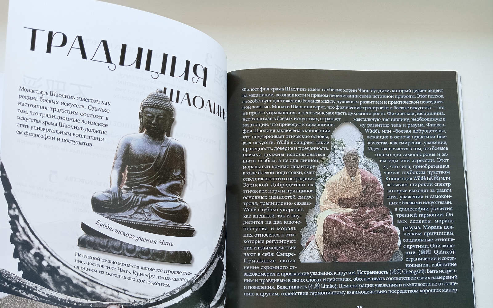 Брошюра «Храм Шаолинь» — Изображение №15 — Графика на Dprofile
