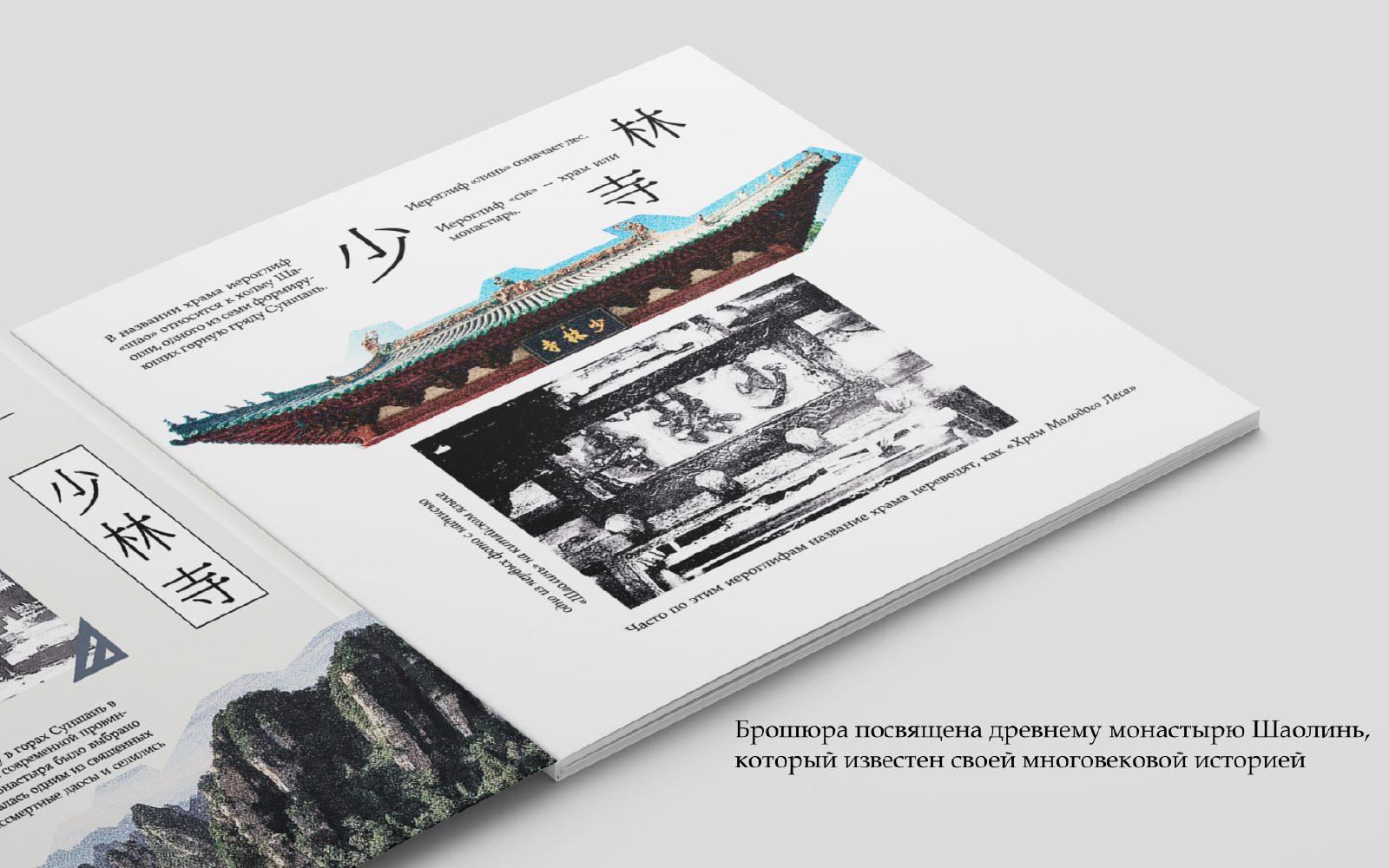 Брошюра «Храм Шаолинь» — Изображение №3 — Графика на Dprofile