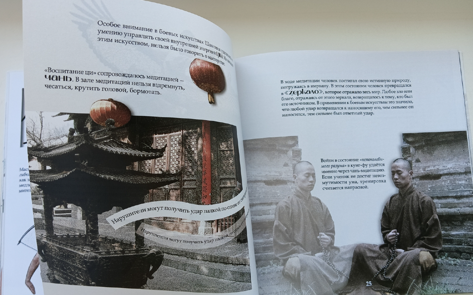 Брошюра «Храм Шаолинь» — Изображение №20 — Графика на Dprofile