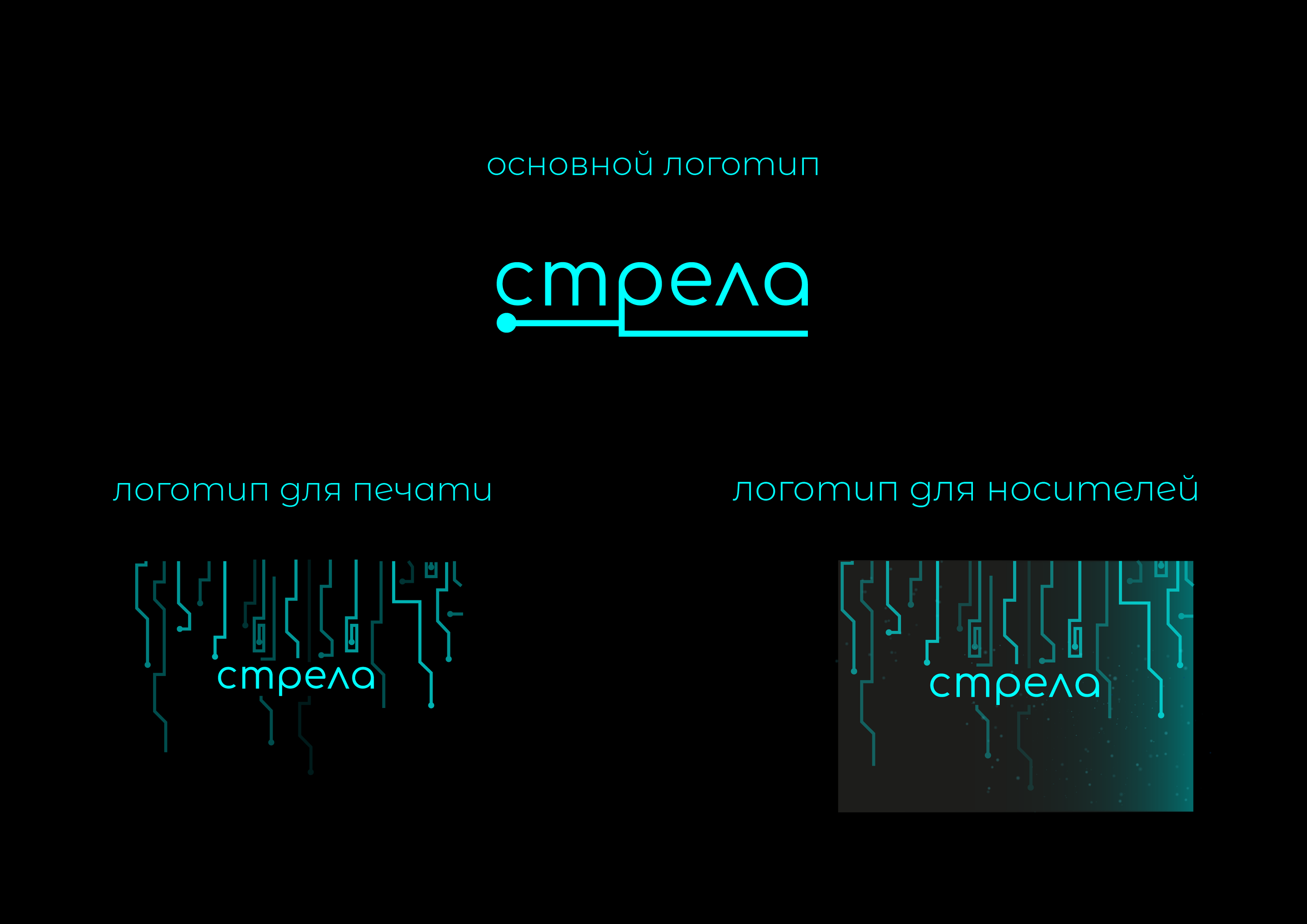 Стрела — Изображение №2 — Брендинг на Dprofile