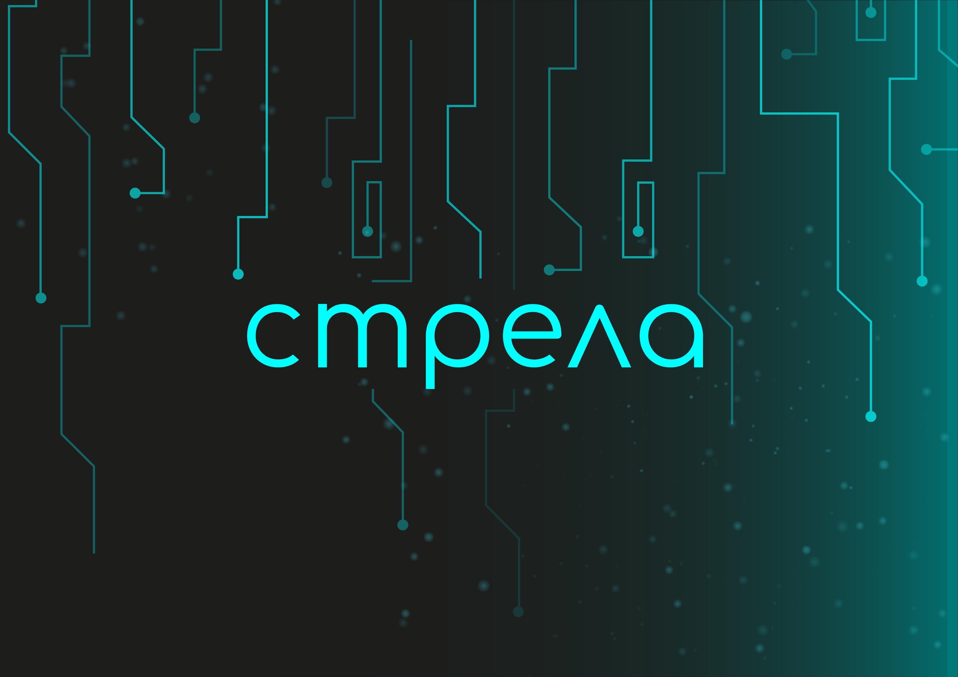 Стрела — Изображение №6 — Брендинг на Dprofile