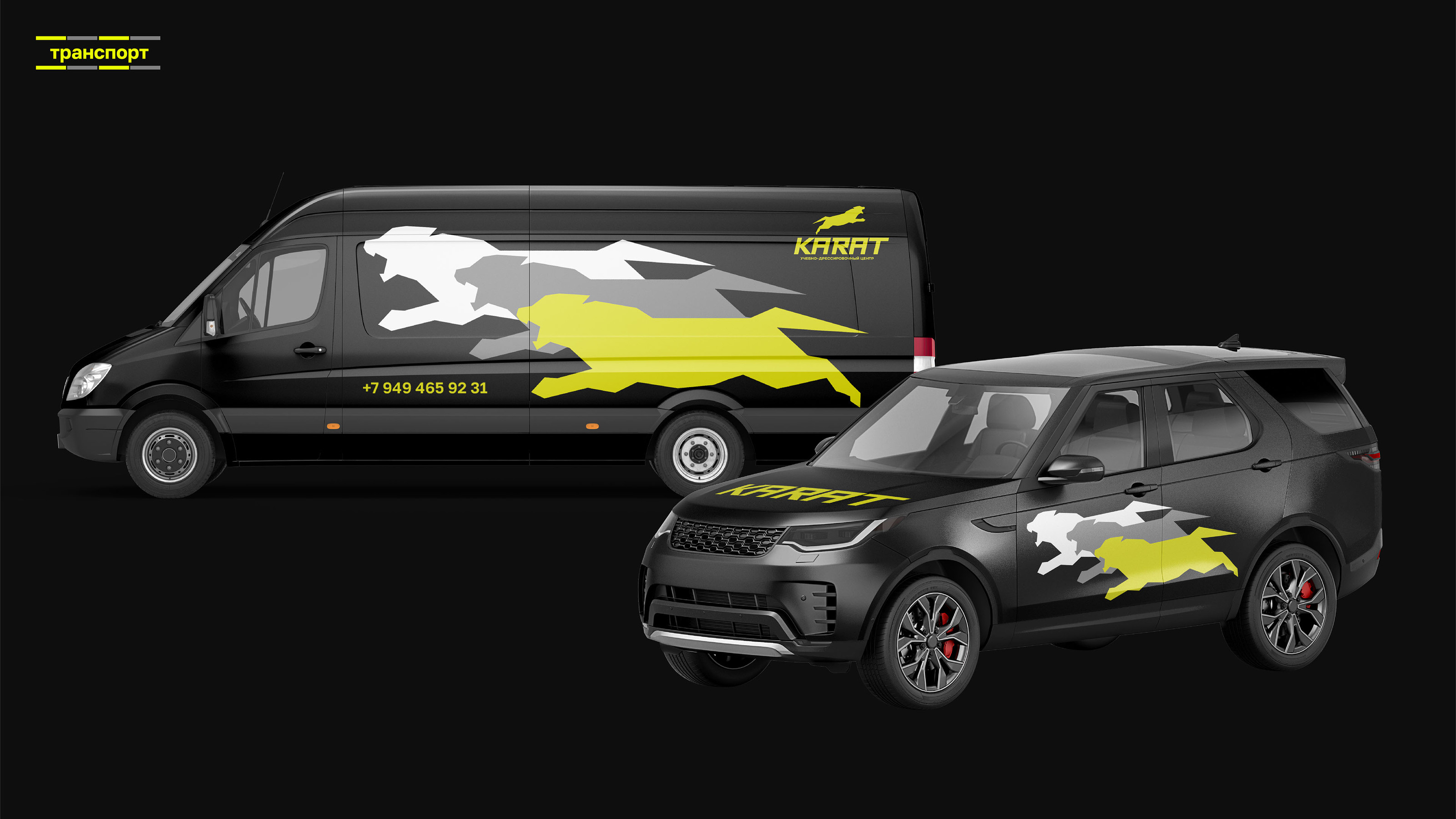 Фирменный стиль для центра КАРАТ — Изображение №12 — Брендинг на Dprofile