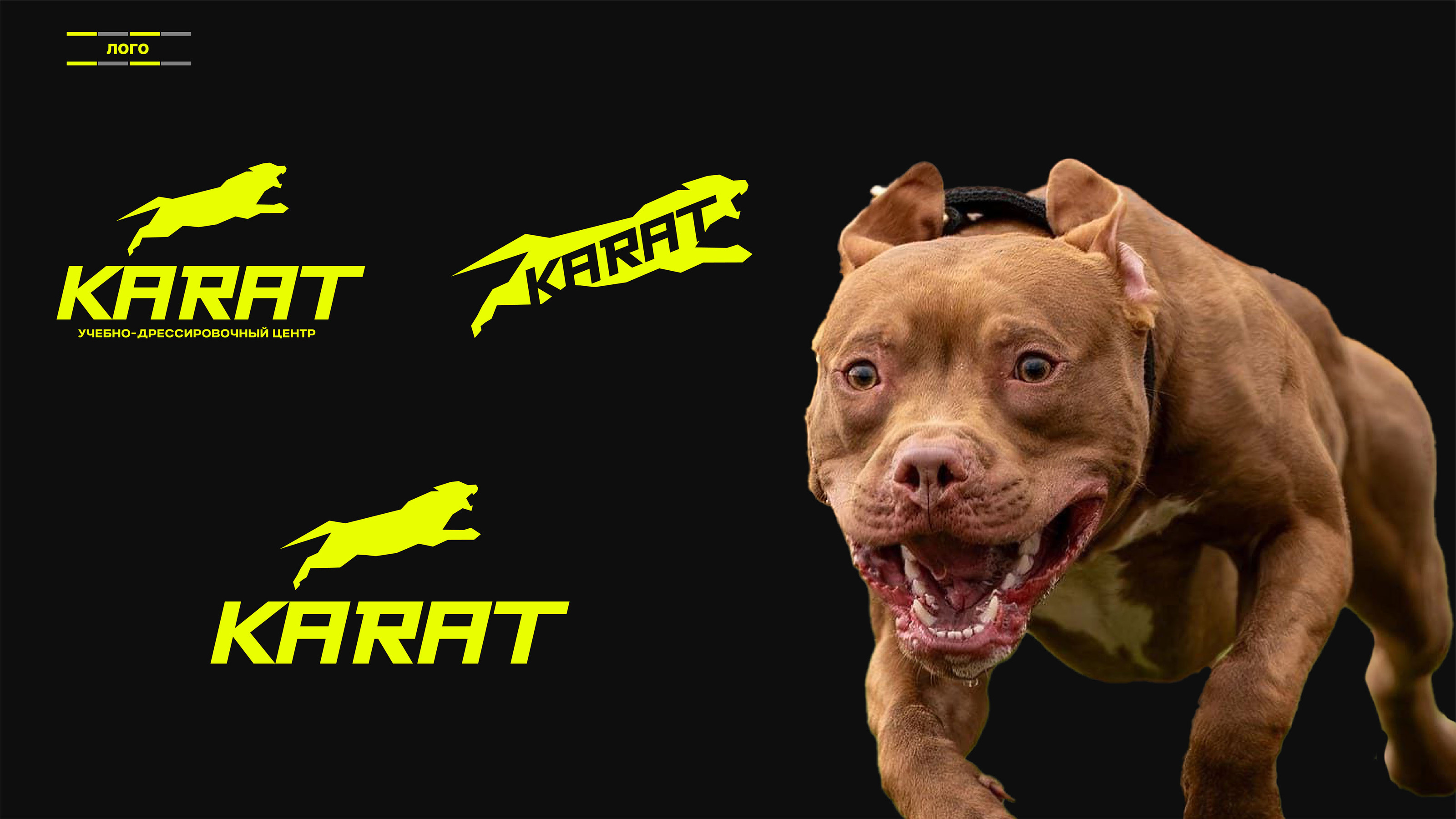 Фирменный стиль для центра КАРАТ — Изображение №5 — Брендинг на Dprofile