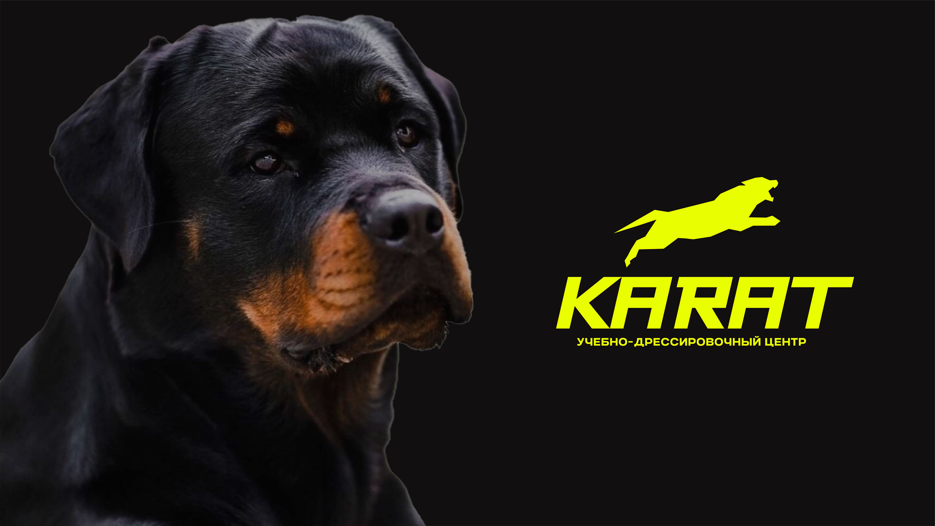 Фирменный стиль для центра КАРАТ — Изображение №1 — Брендинг на Dprofile