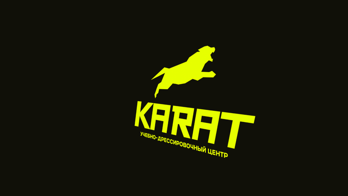 Фирменный стиль для центра КАРАТ — Изображение №4 — Брендинг на Dprofile