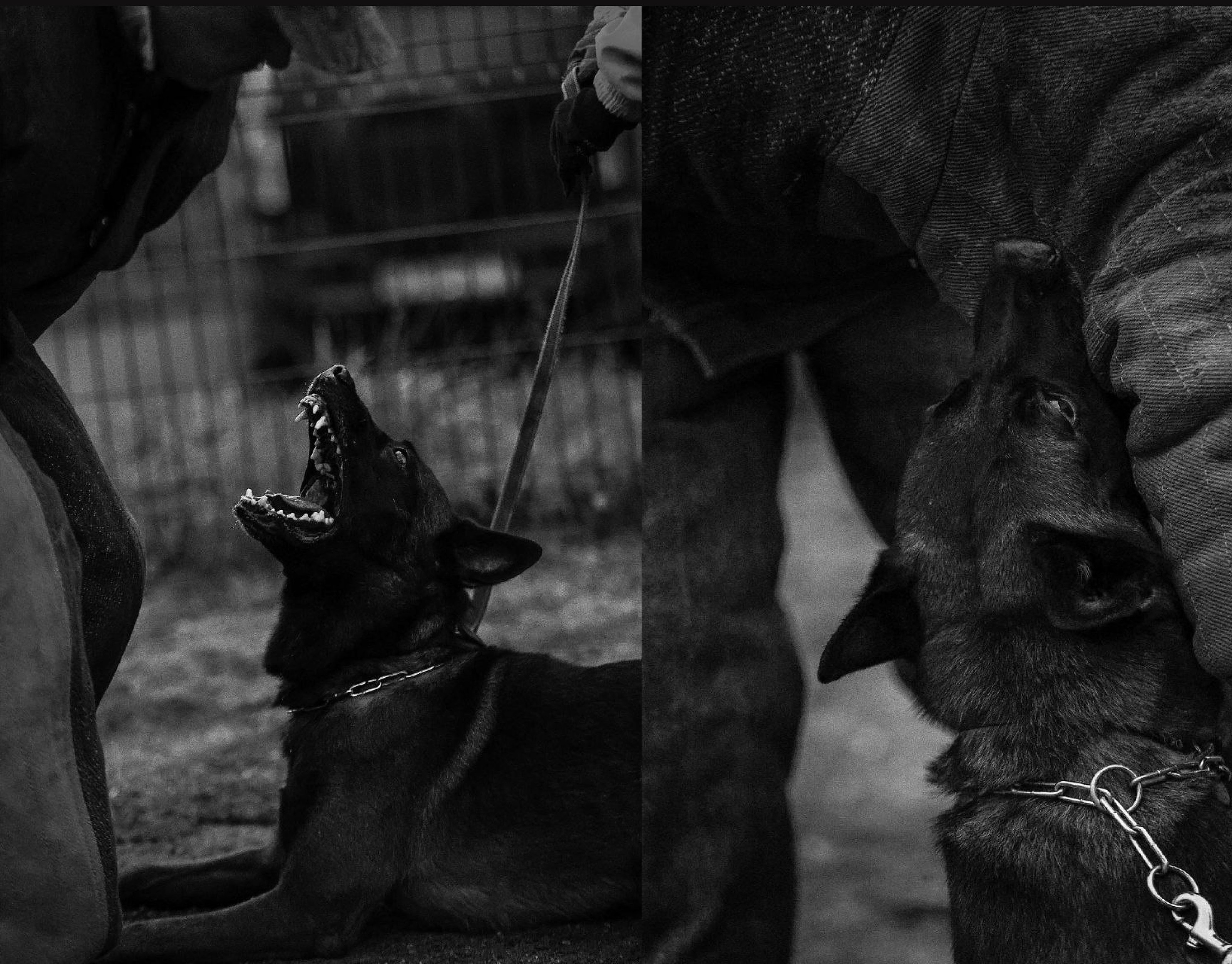 Фирменный стиль для центра КАРАТ — Изображение №3 — Брендинг на Dprofile