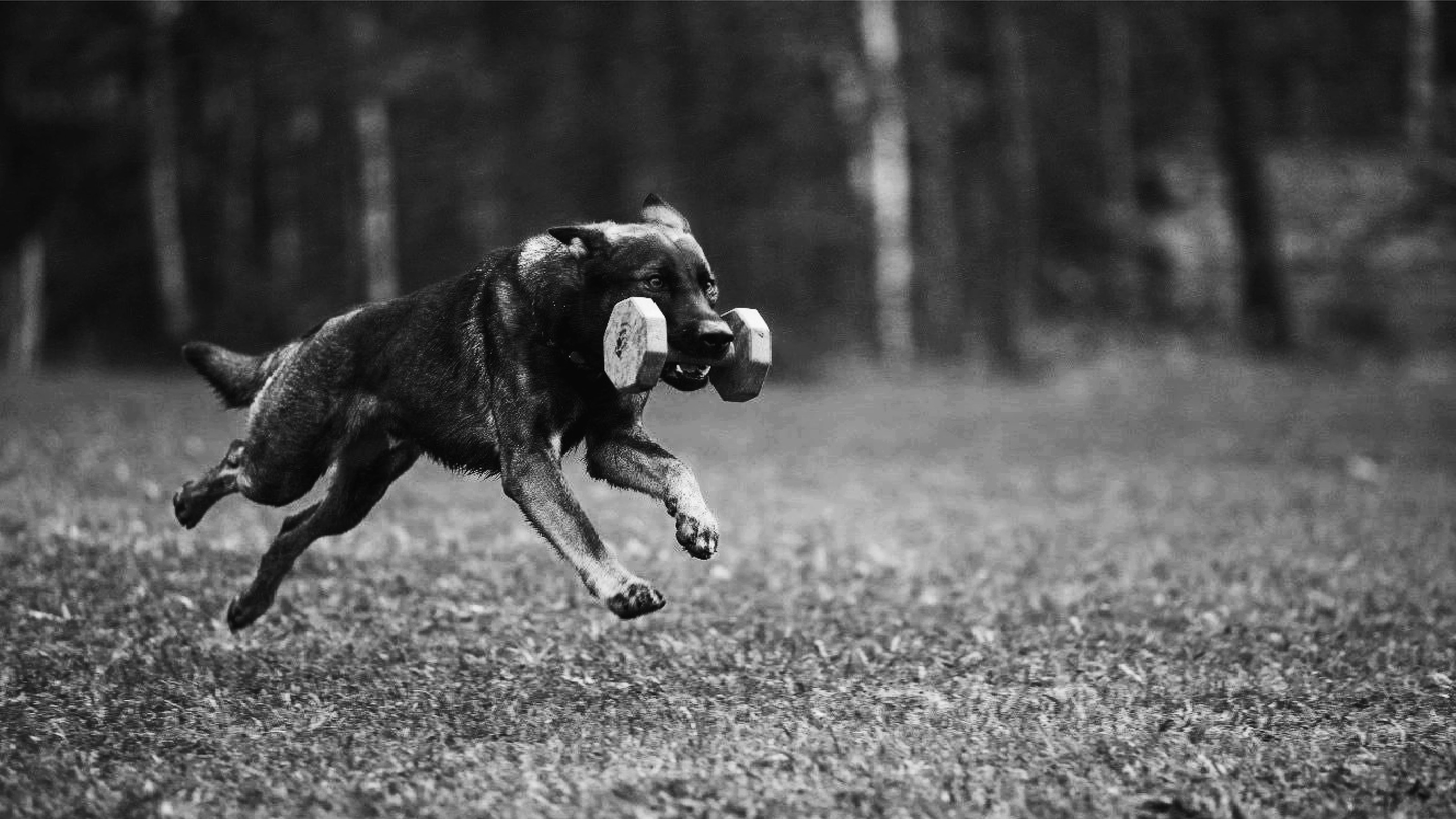 Фирменный стиль для центра КАРАТ — Изображение №7 — Брендинг на Dprofile