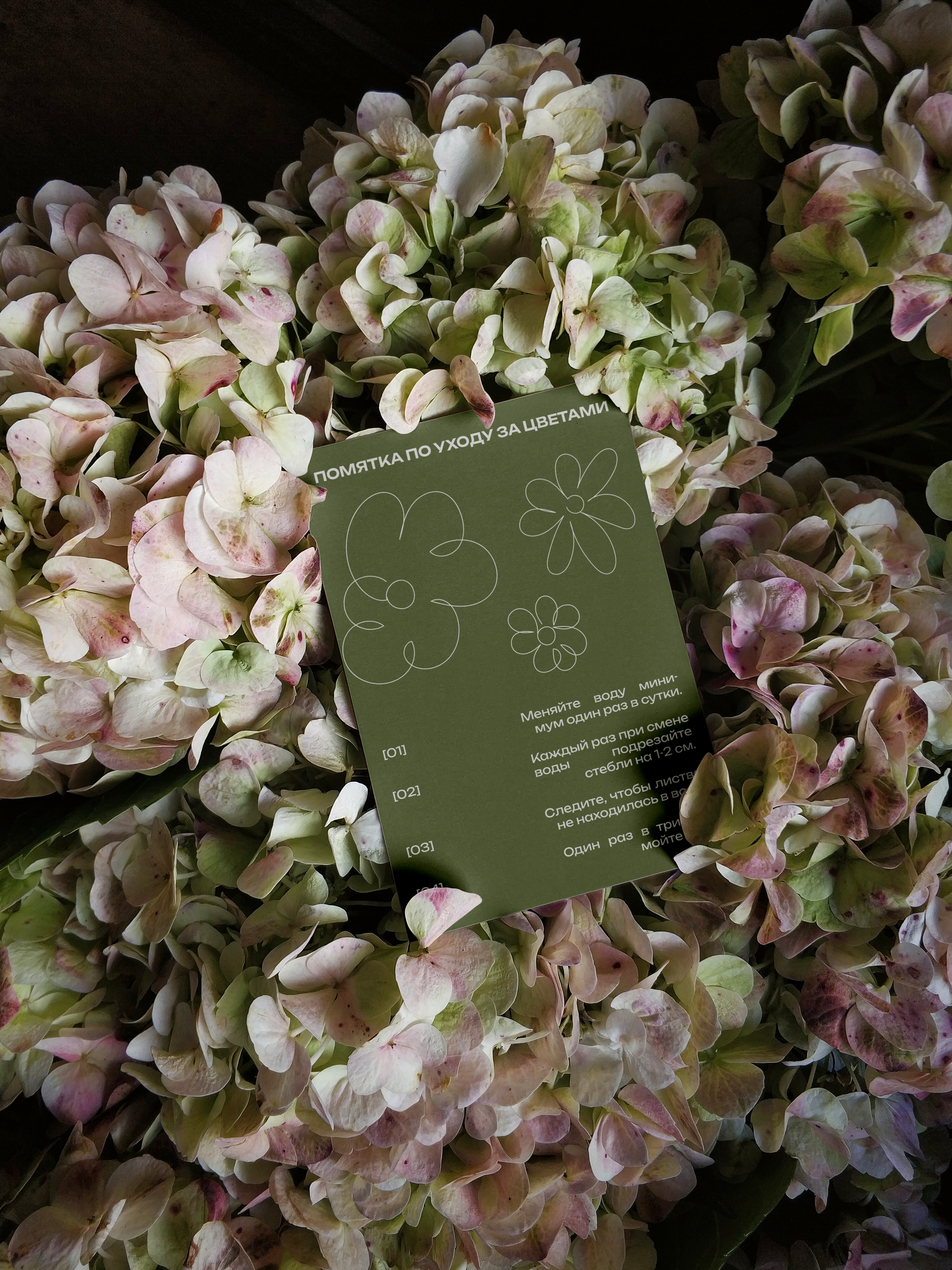 фирменный стиль для цветочного магазина — Изображение №7 — Брендинг на Dprofile