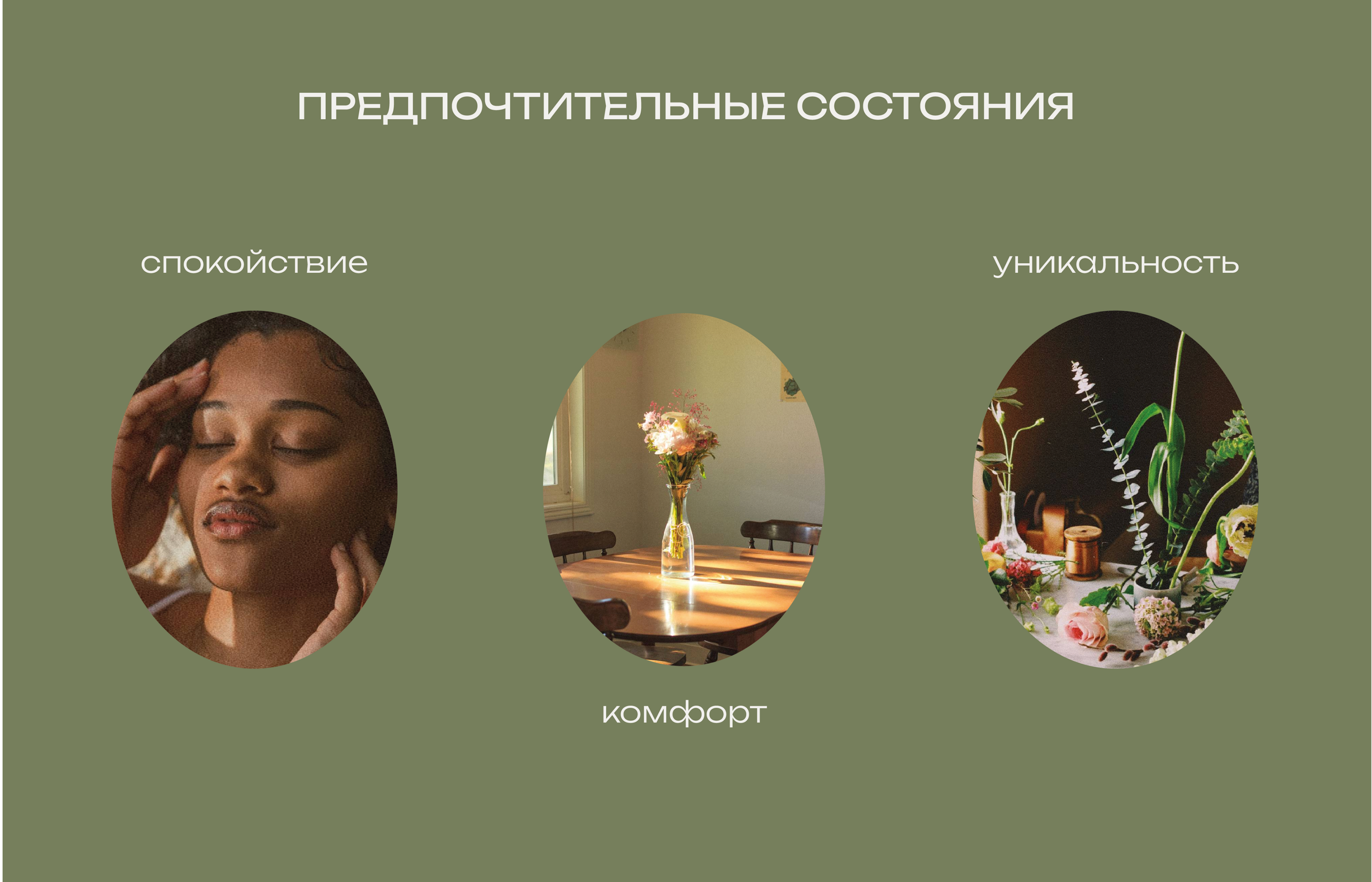 фирменный стиль для цветочного магазина — Изображение №2 — Брендинг на Dprofile